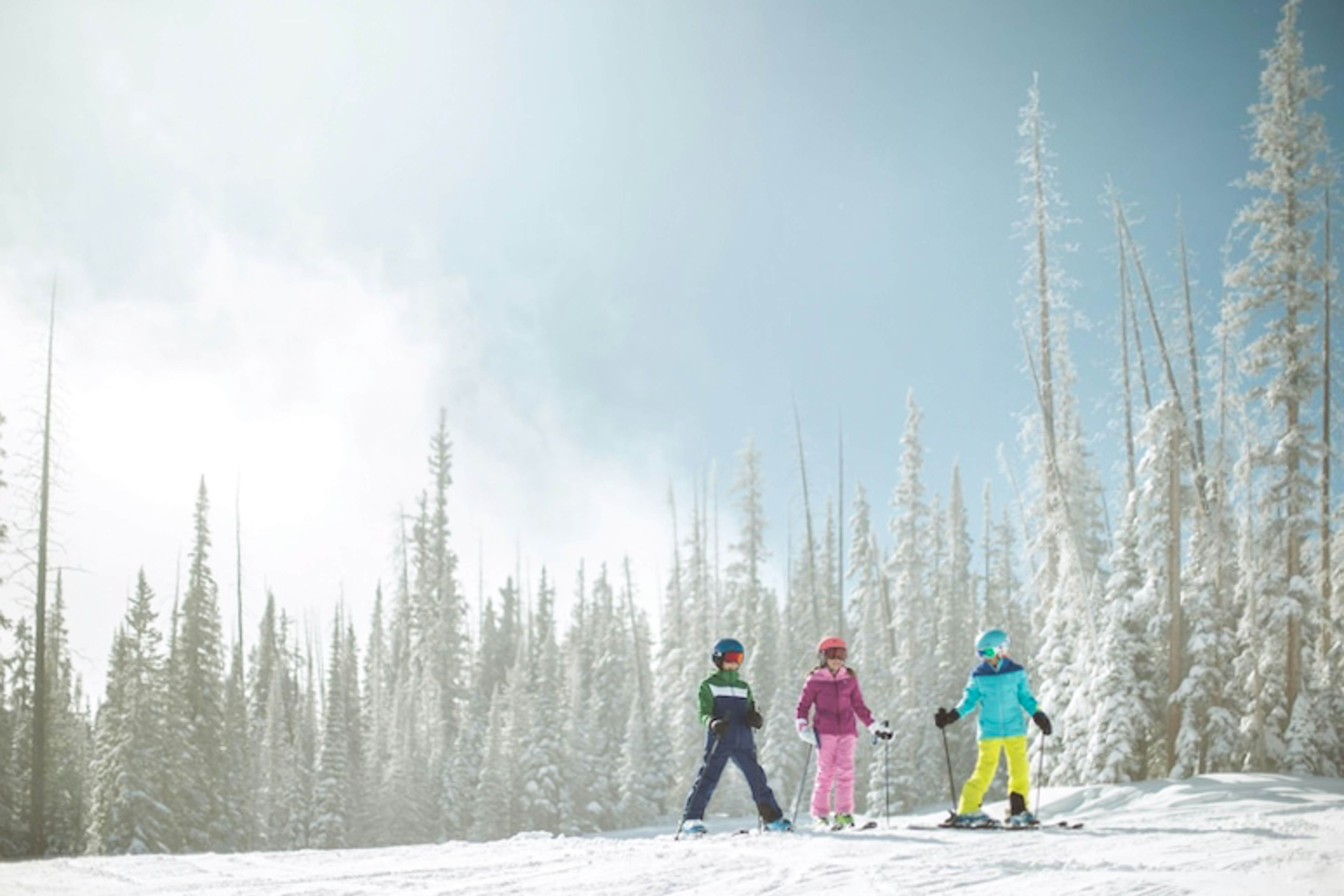Townsend Place - Beaver Creek Retreat
