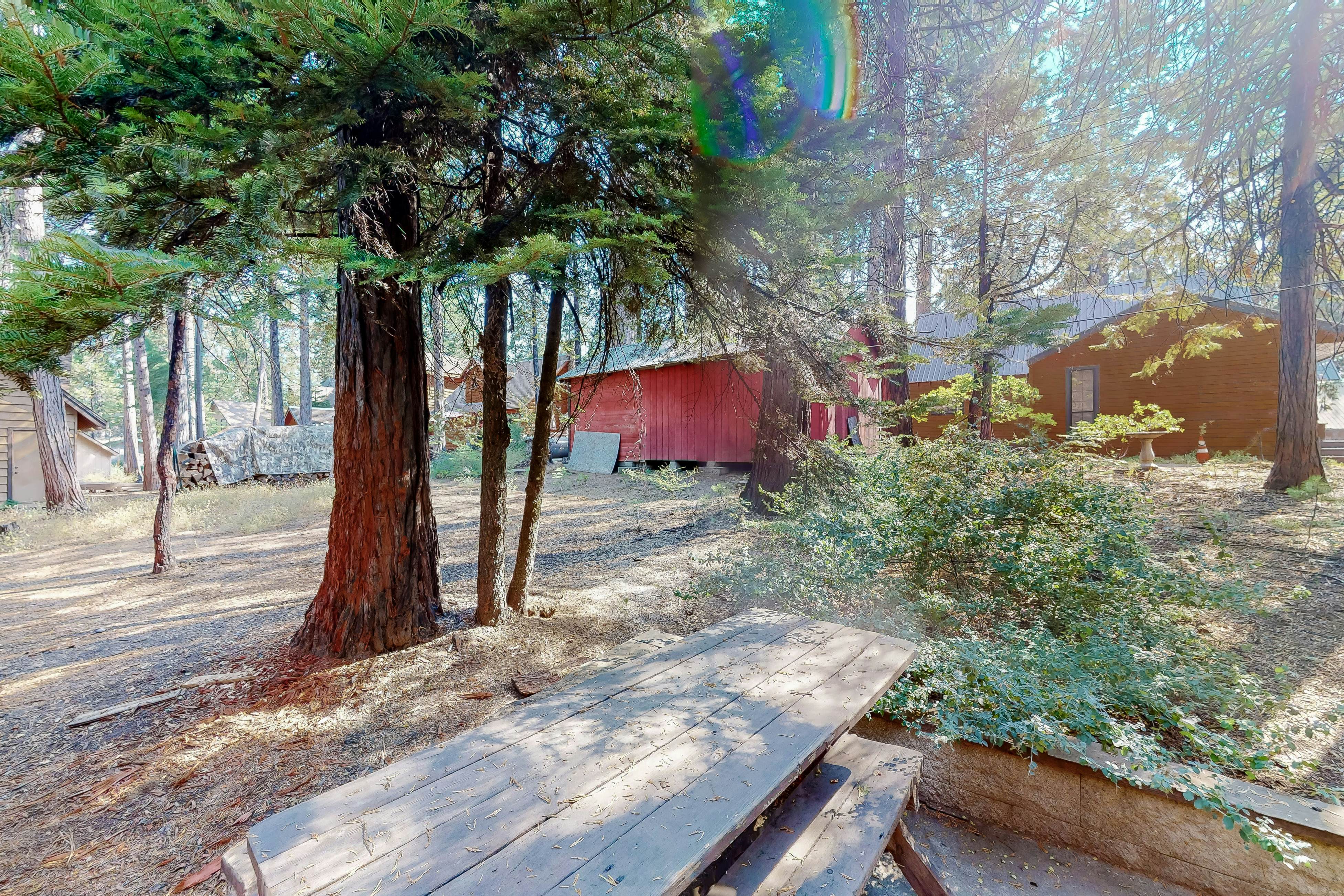 Dogwood East Village