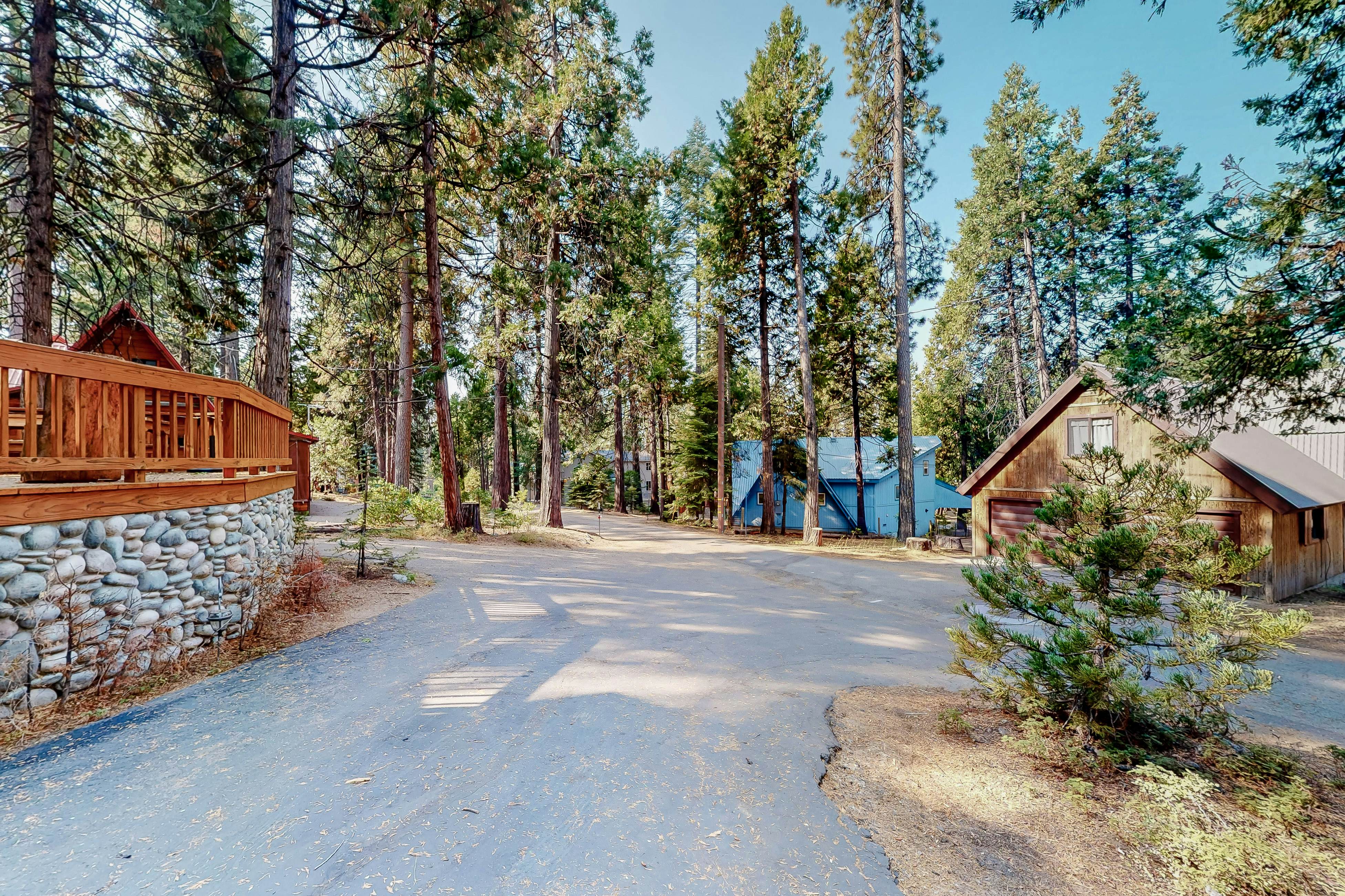 Dogwood East Village