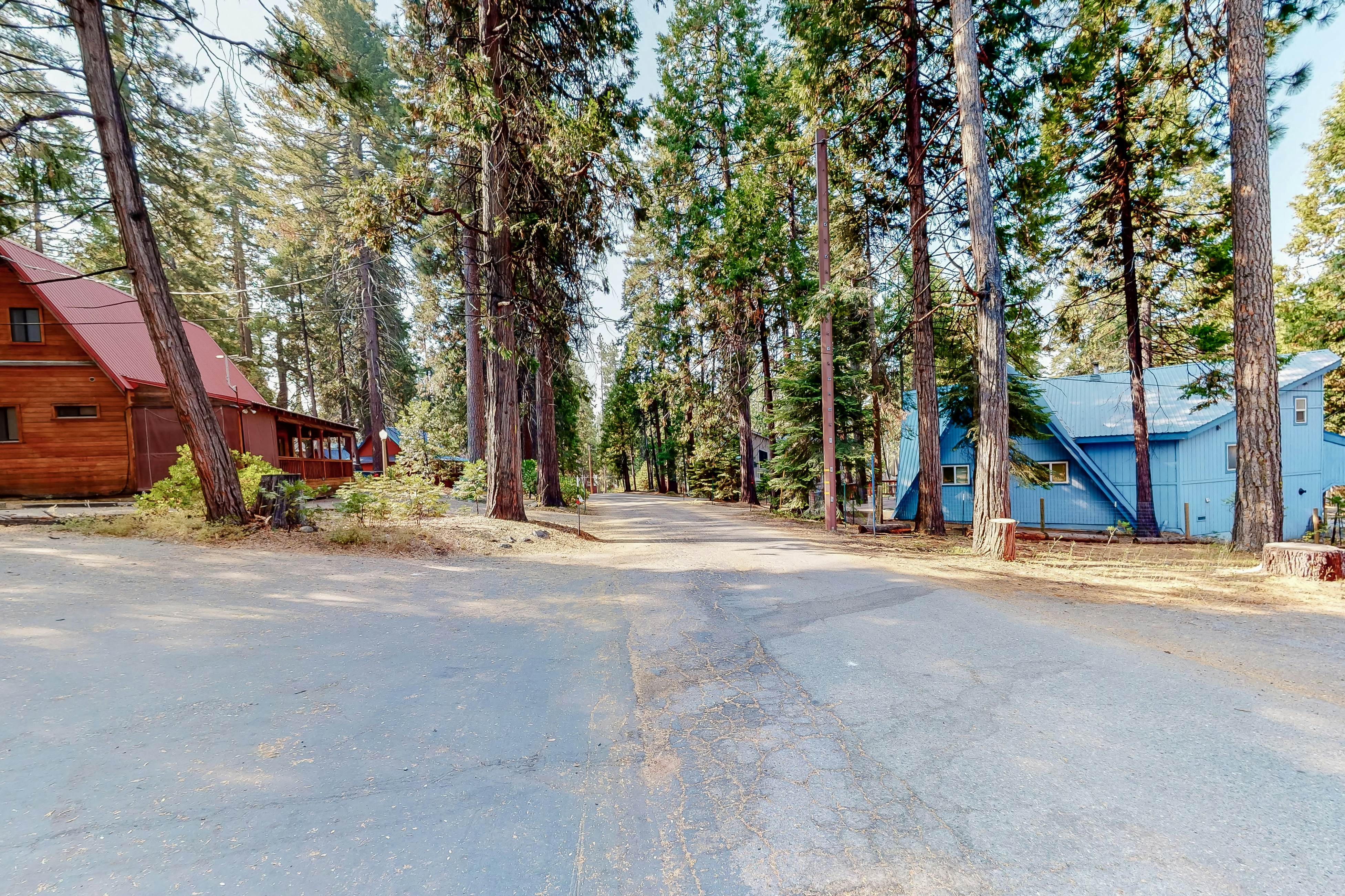 Dogwood East Village