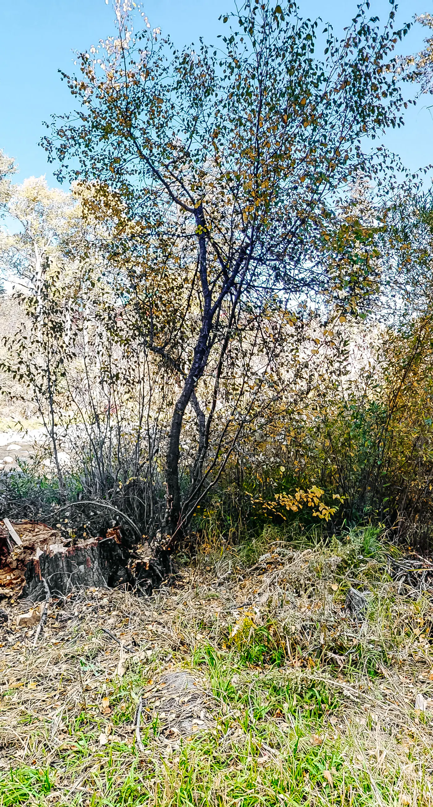 SunRiver Mountain Getaway