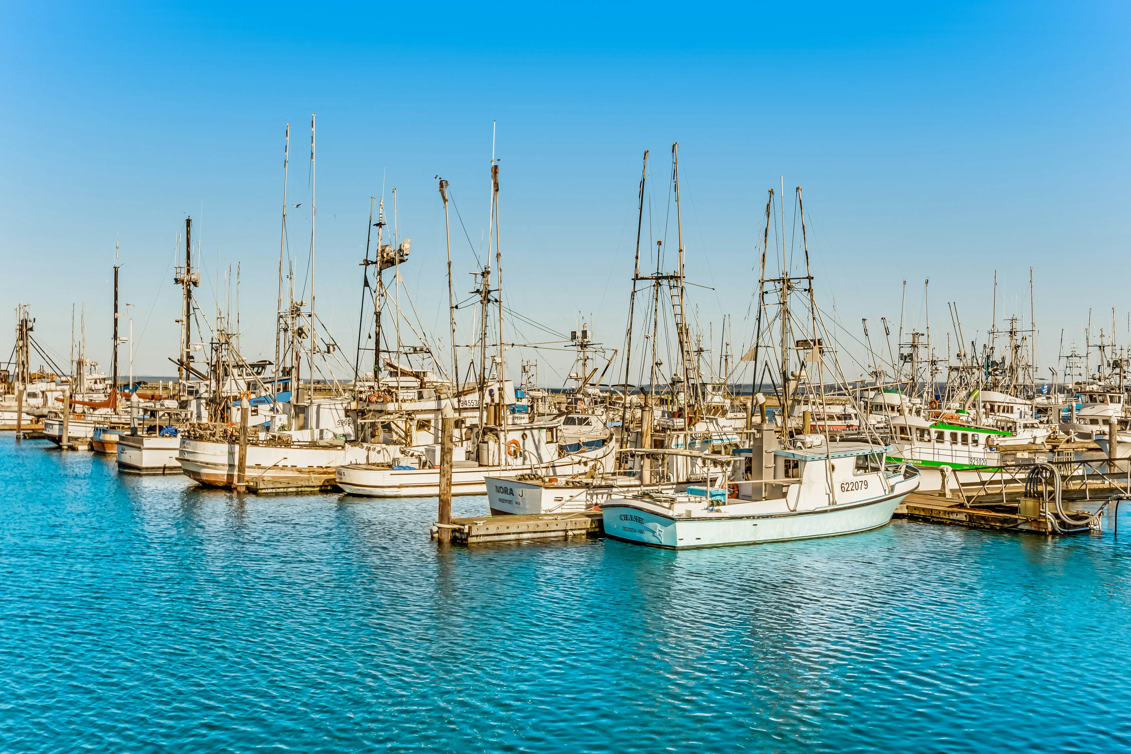 Westport Marina View