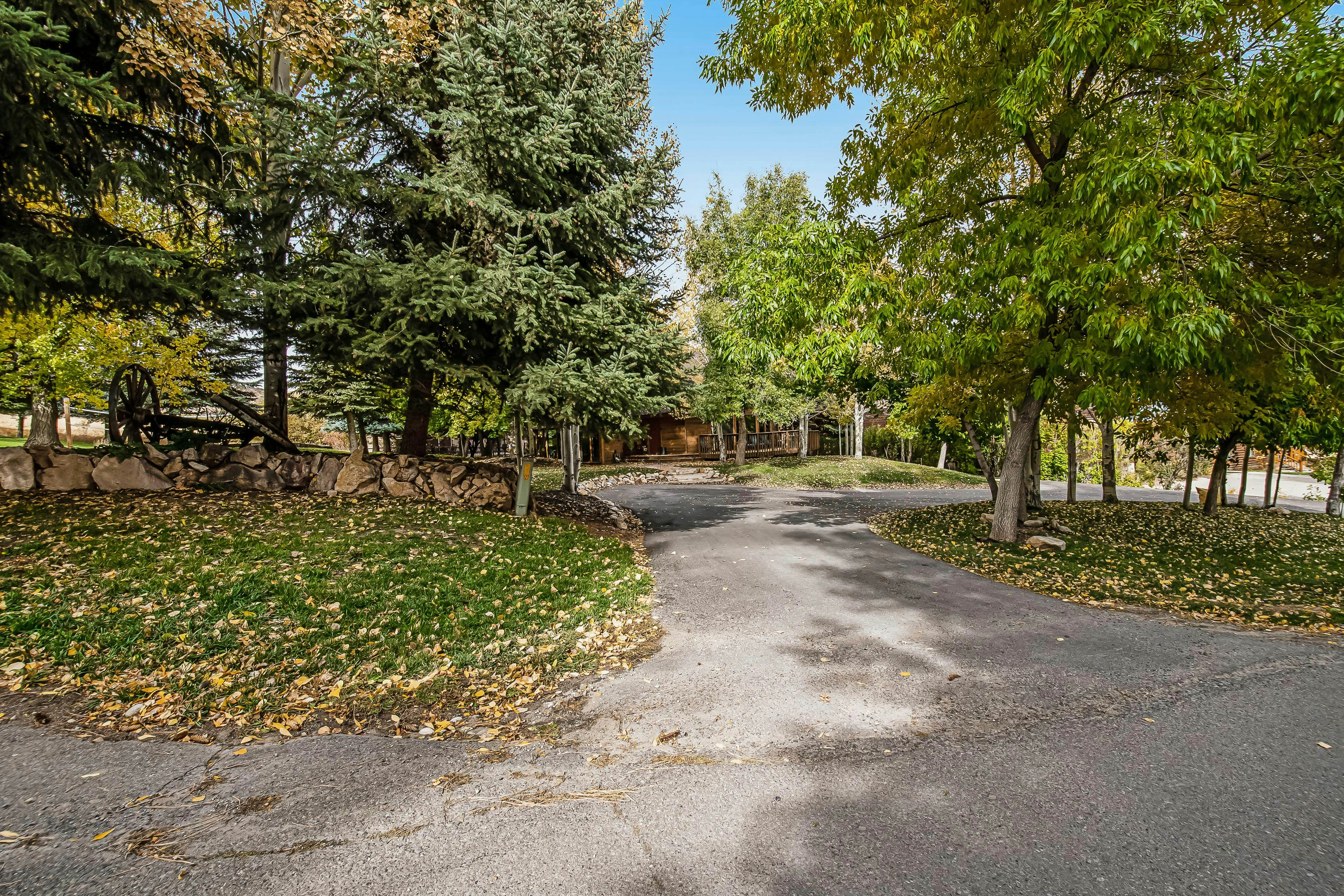 Aspen Hideaway Cabin