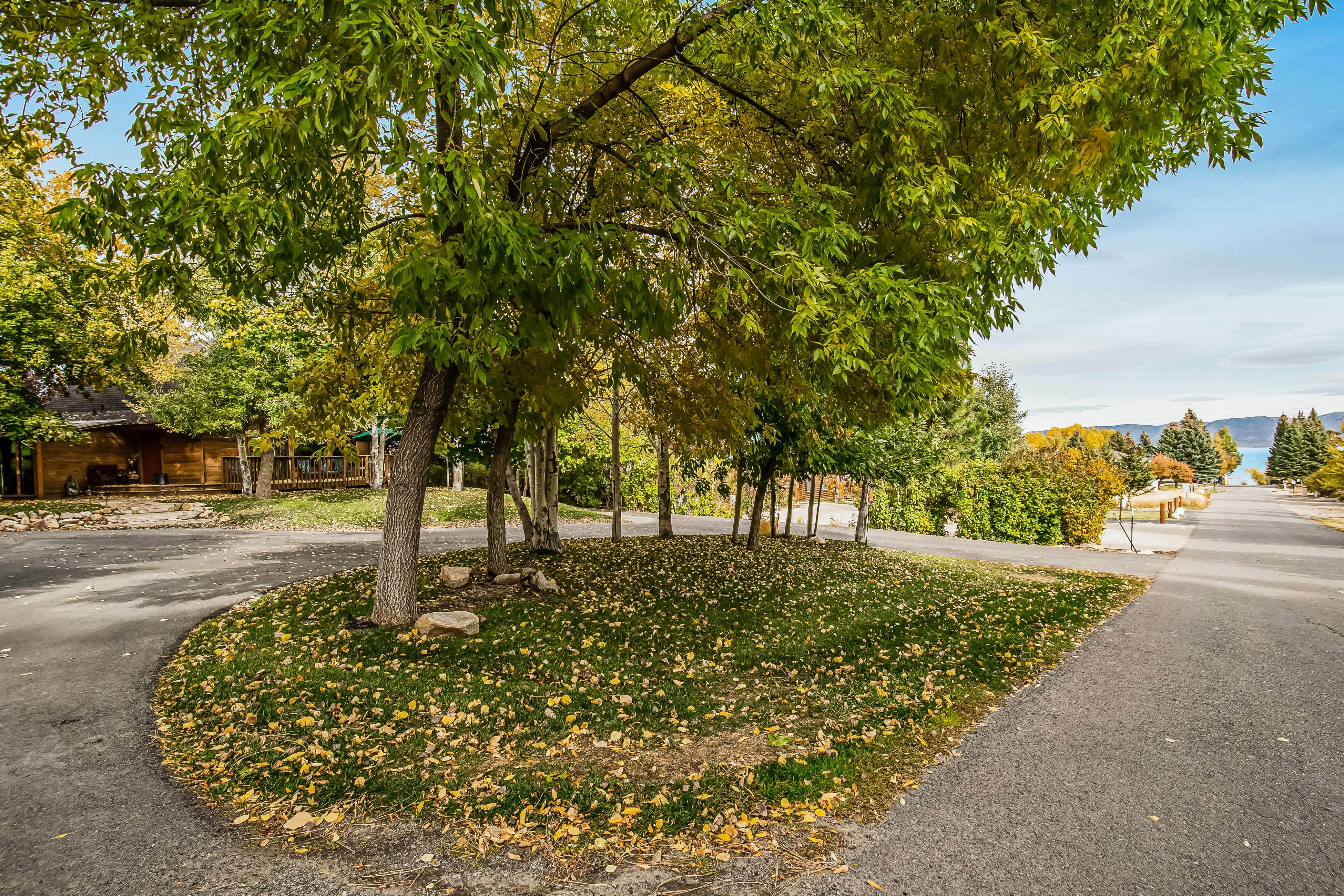 Aspen Hideaway Cabin