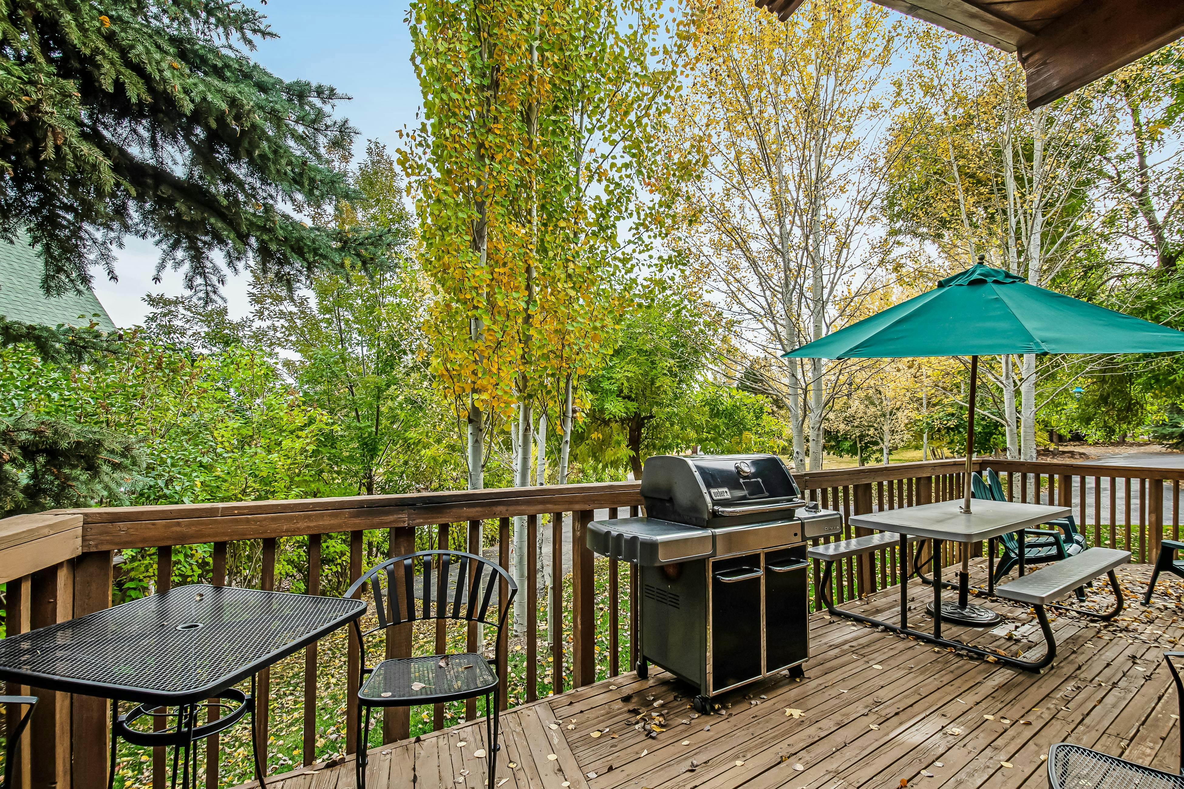 Aspen Hideaway Cabin
