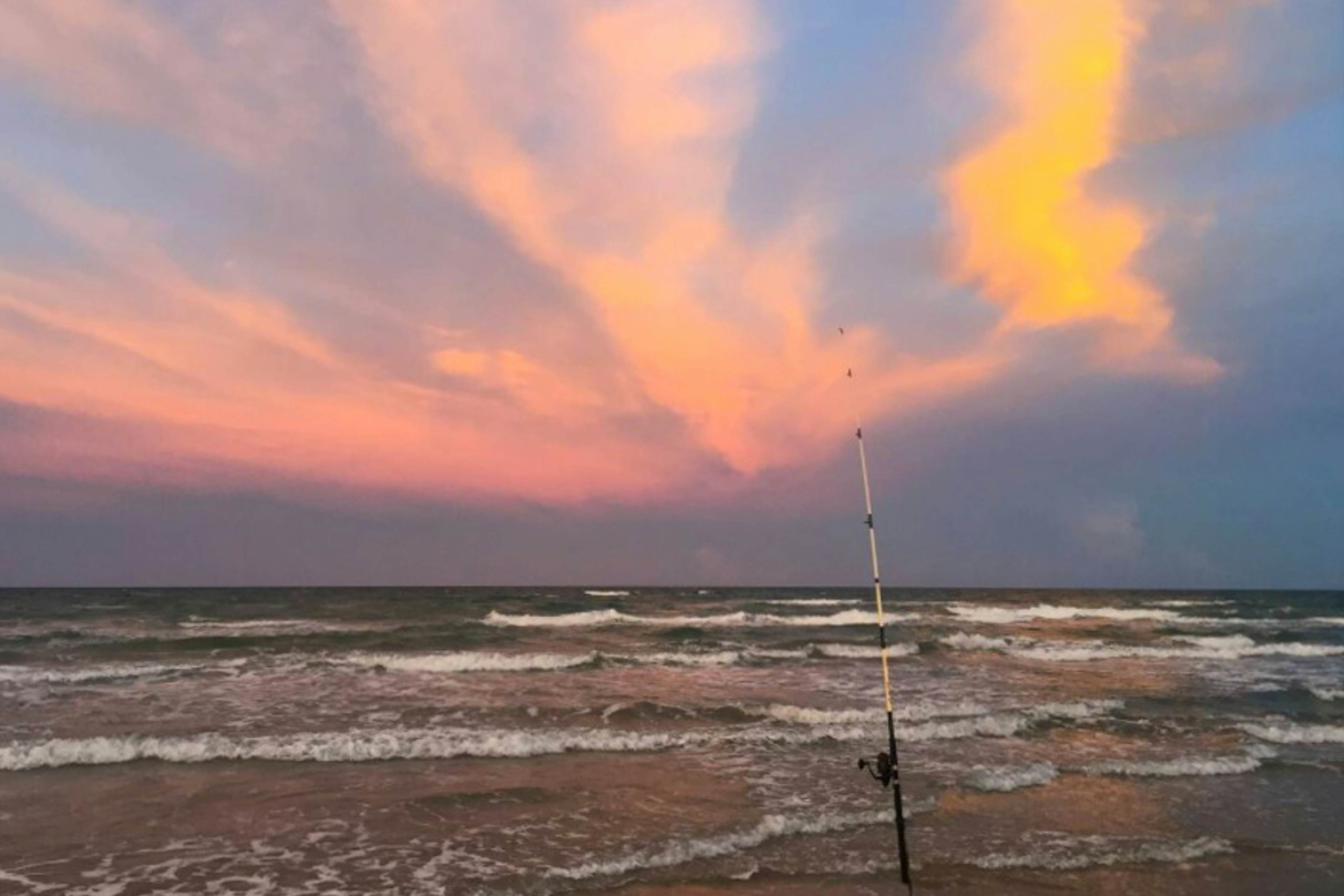 Beach Club - Turtle Ranch