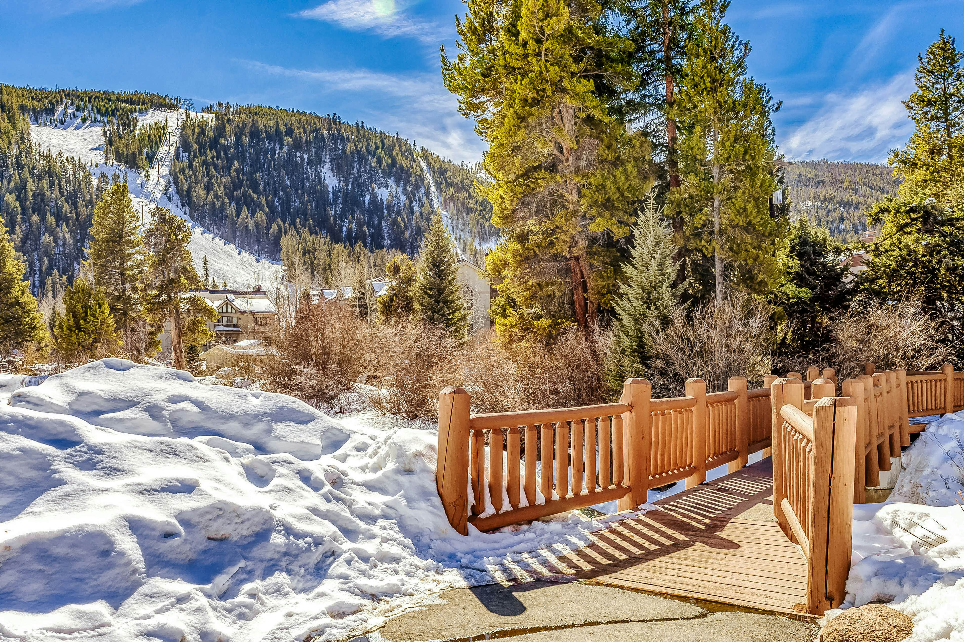 Snowdance Manor  403