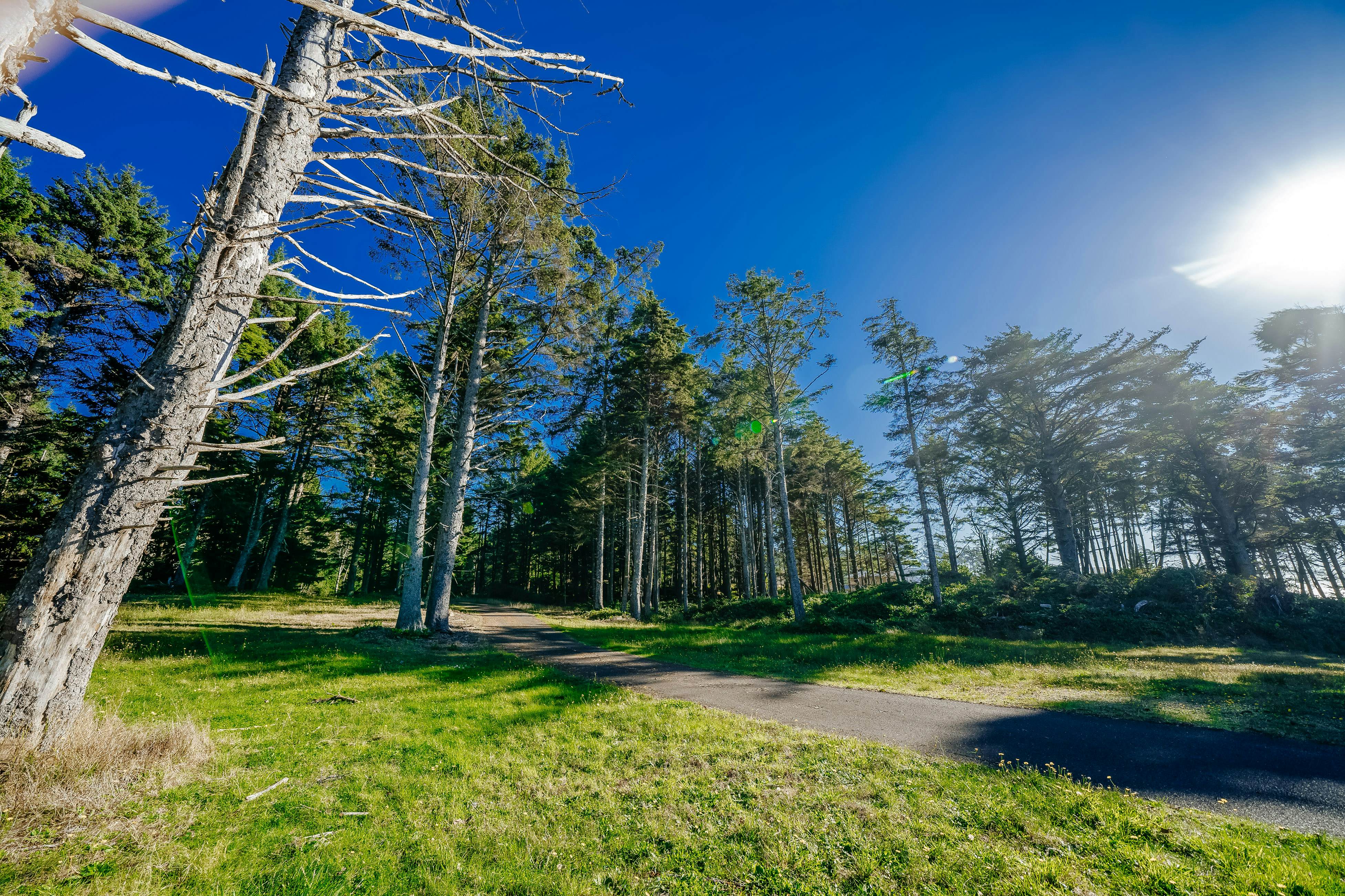 hidden image preload