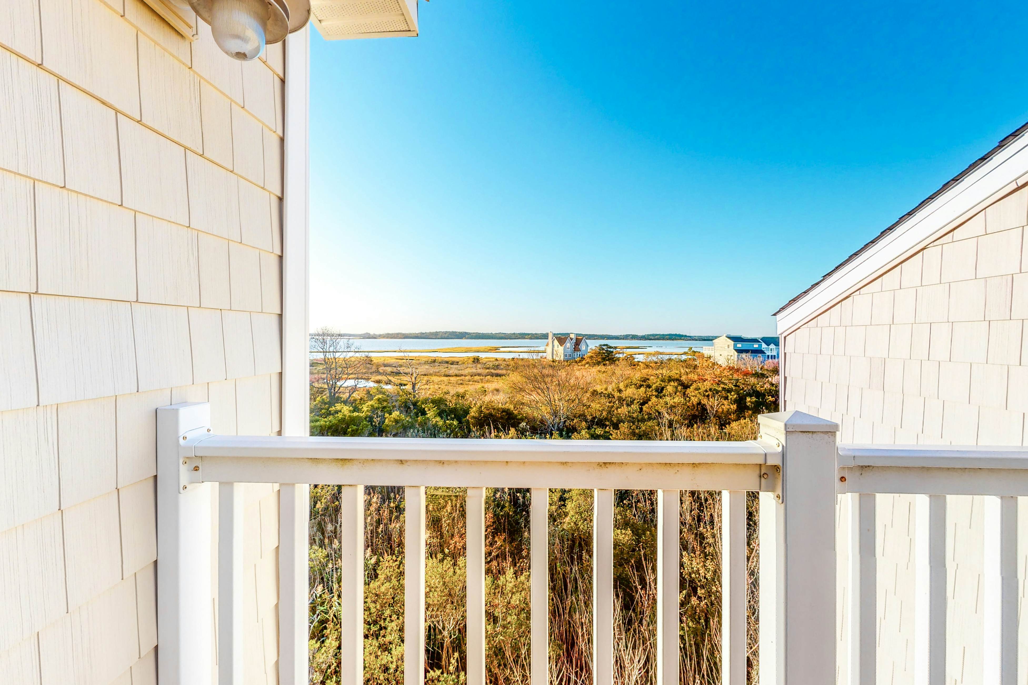 Salt Meadows - 40146 Salt Meadows