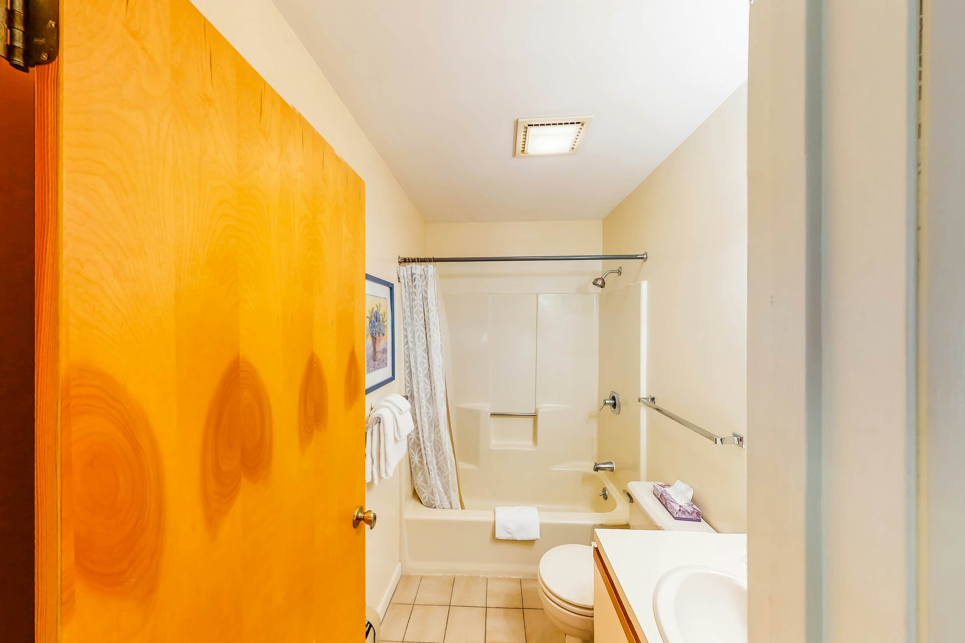 Mountainside Resort H203