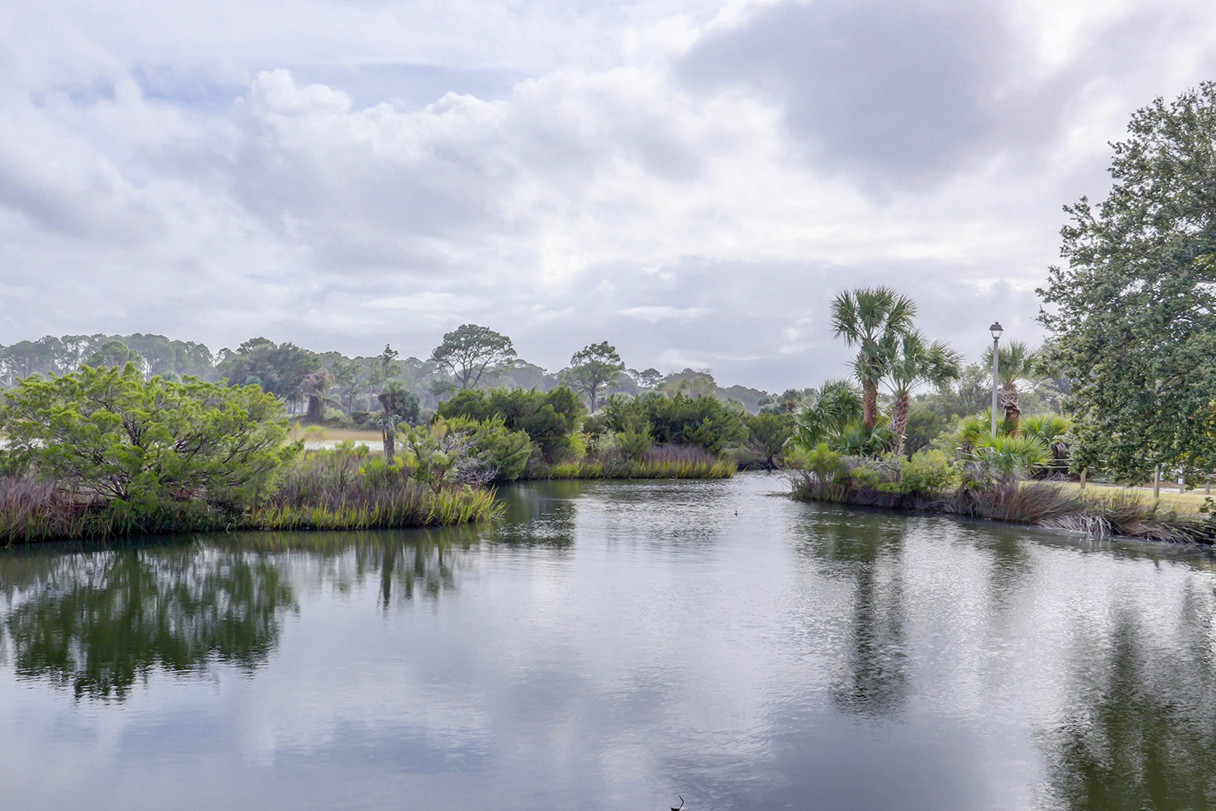 Hilton Head Resort 2104