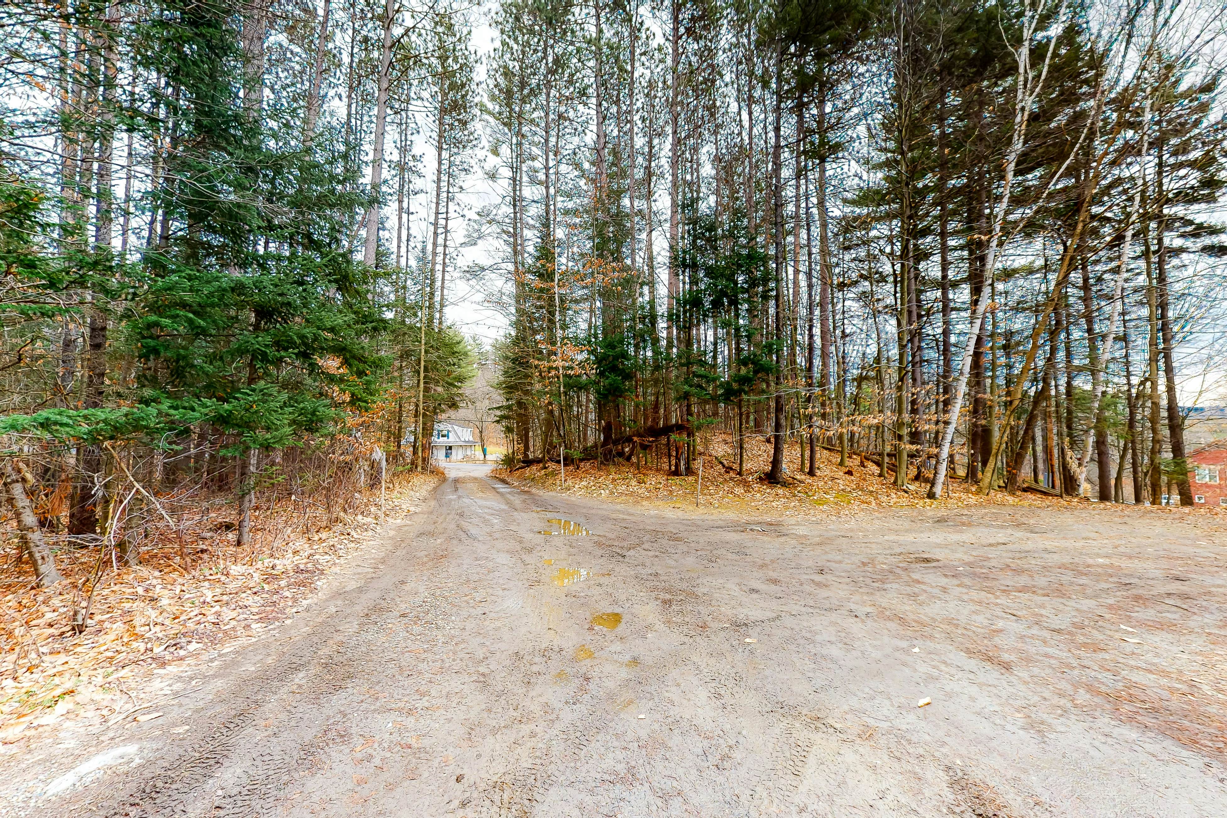 Edson Hill Getaway #4