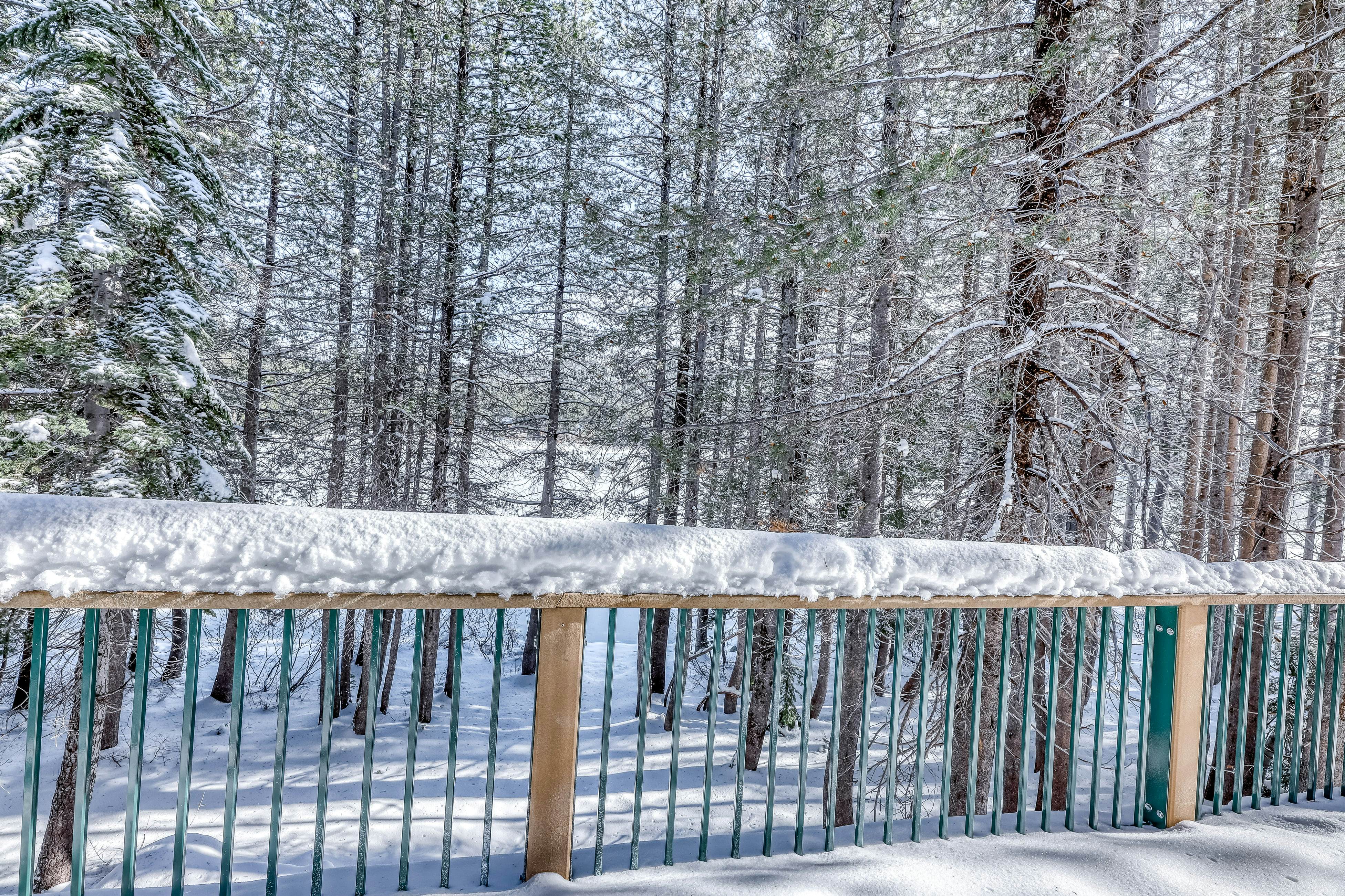 Four Seasons Lakeside