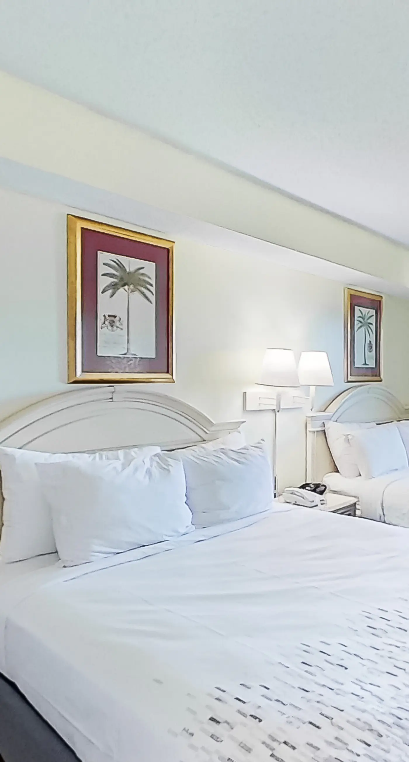 Camelot by the Sea 1506