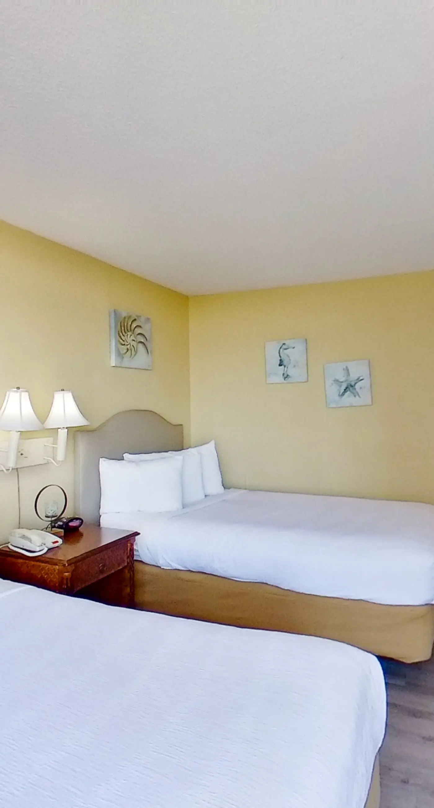 Ocean Park Resort 0522/0524 Combo