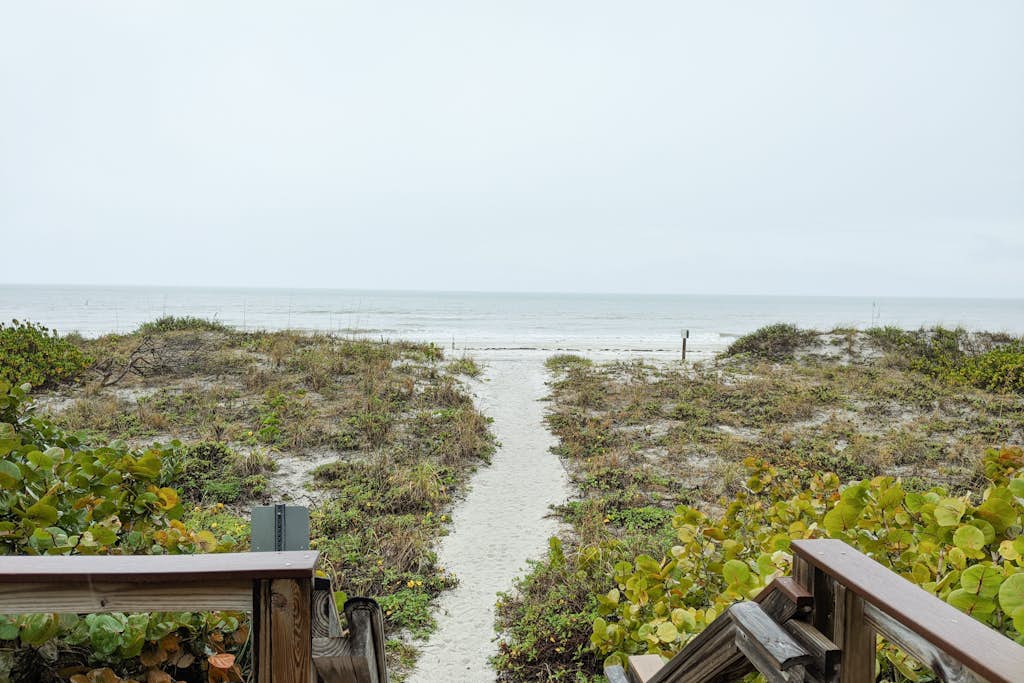 View 4