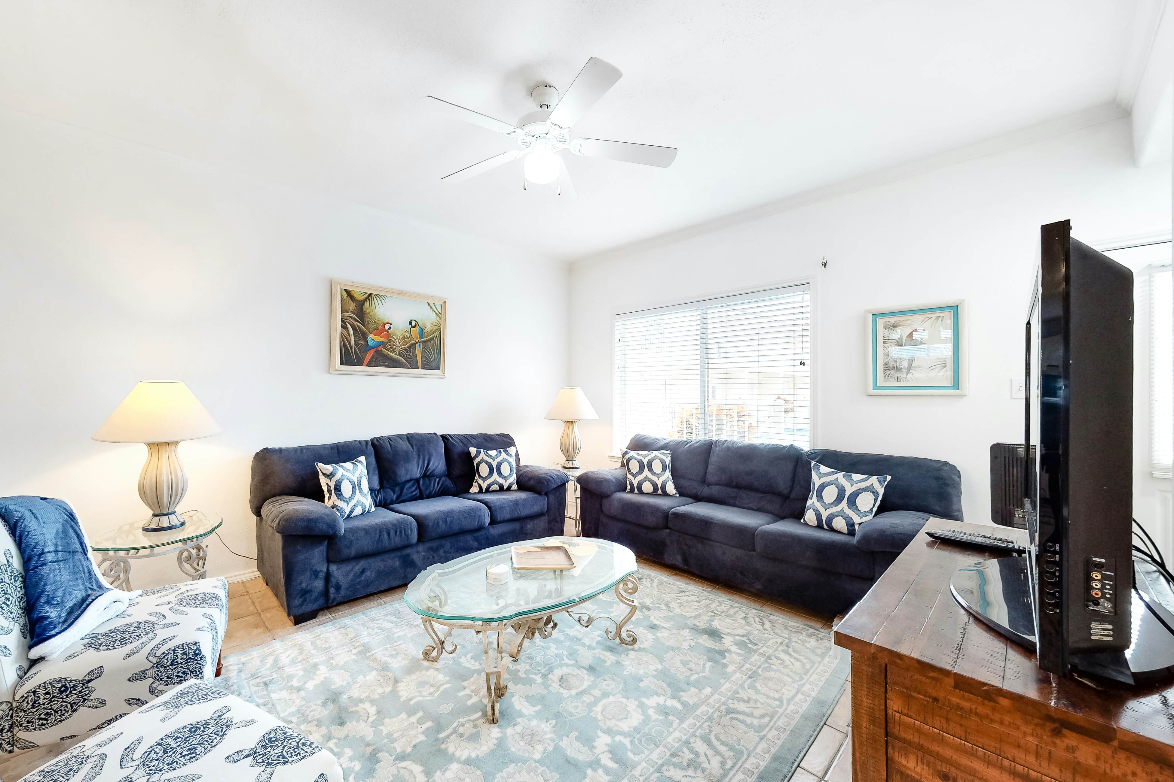 Dolphin Condo Rentals South Padre Island Vacasa