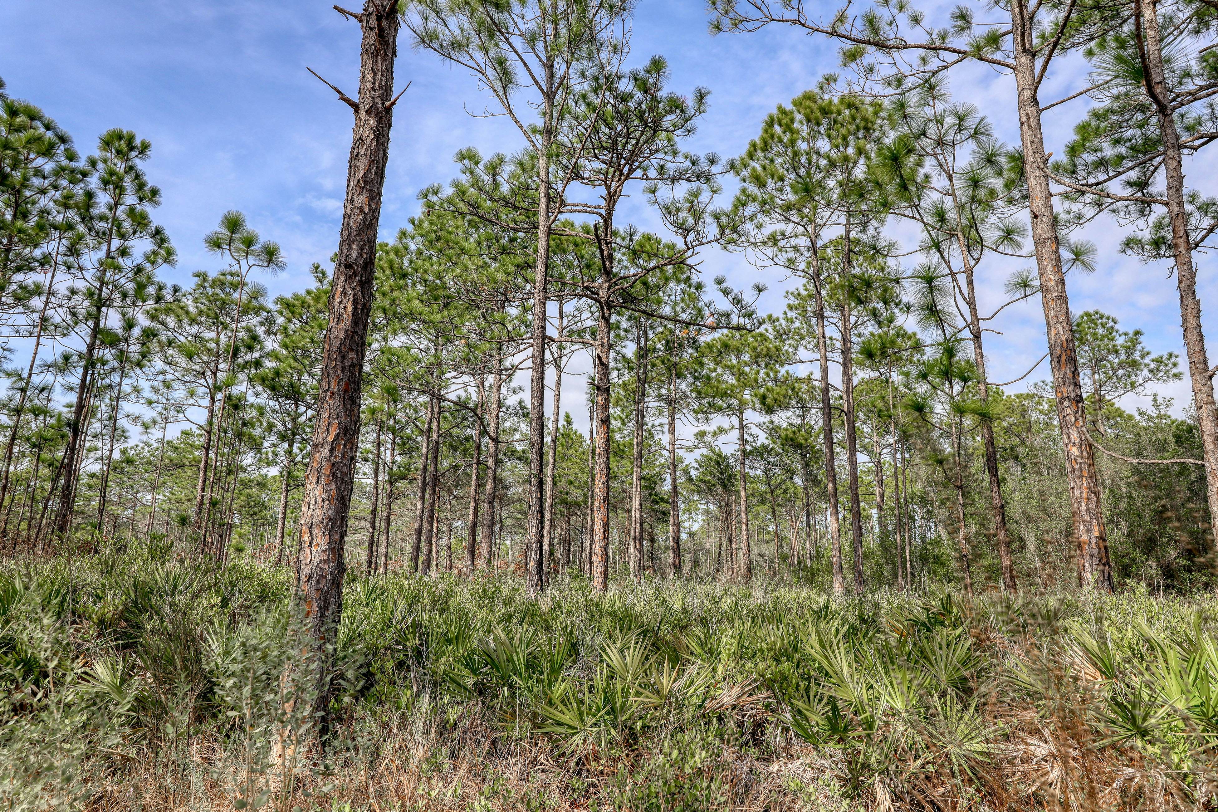 Sanctuary by the Sea 2114