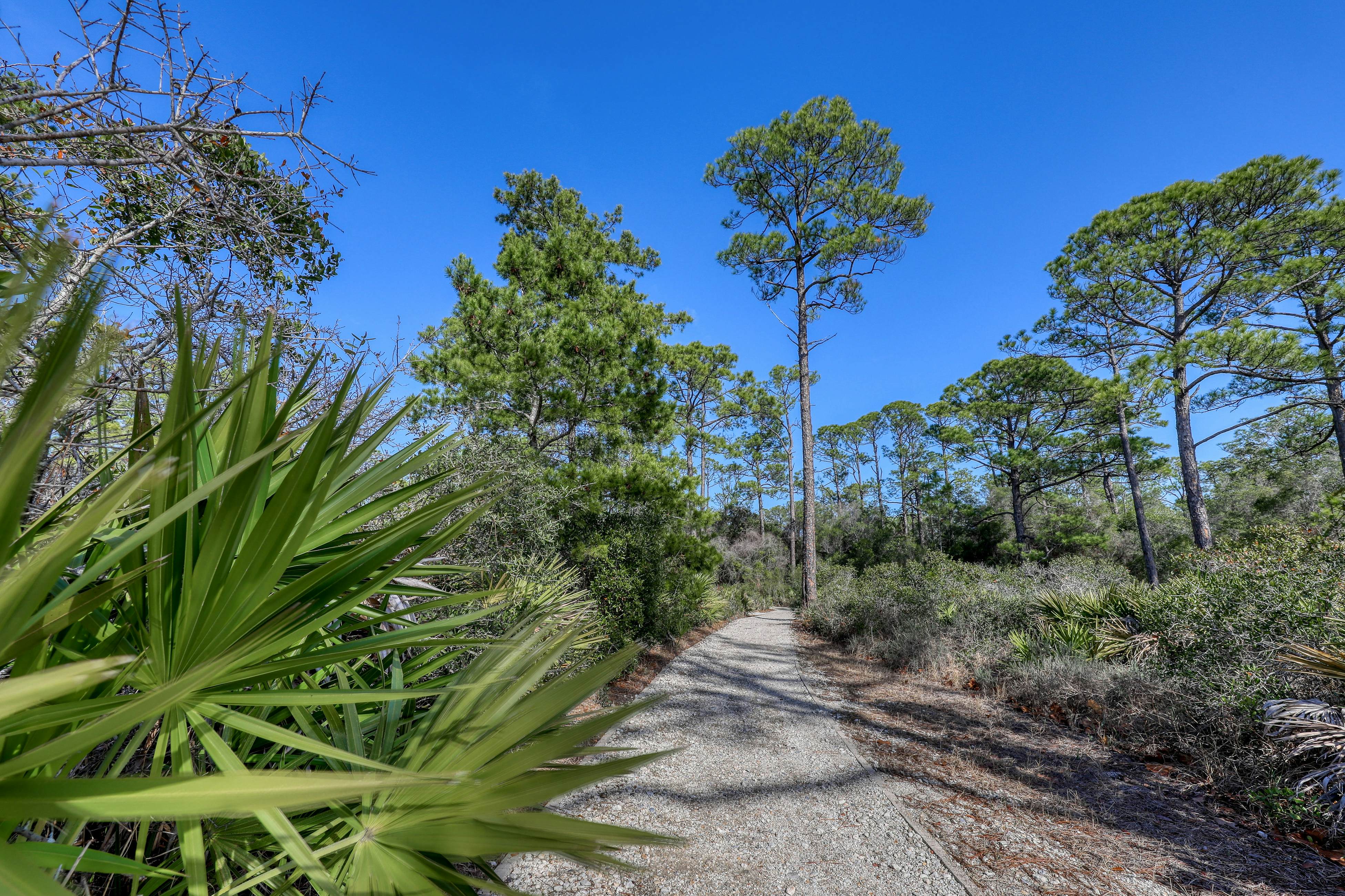 Sanctuary by the Sea 2114