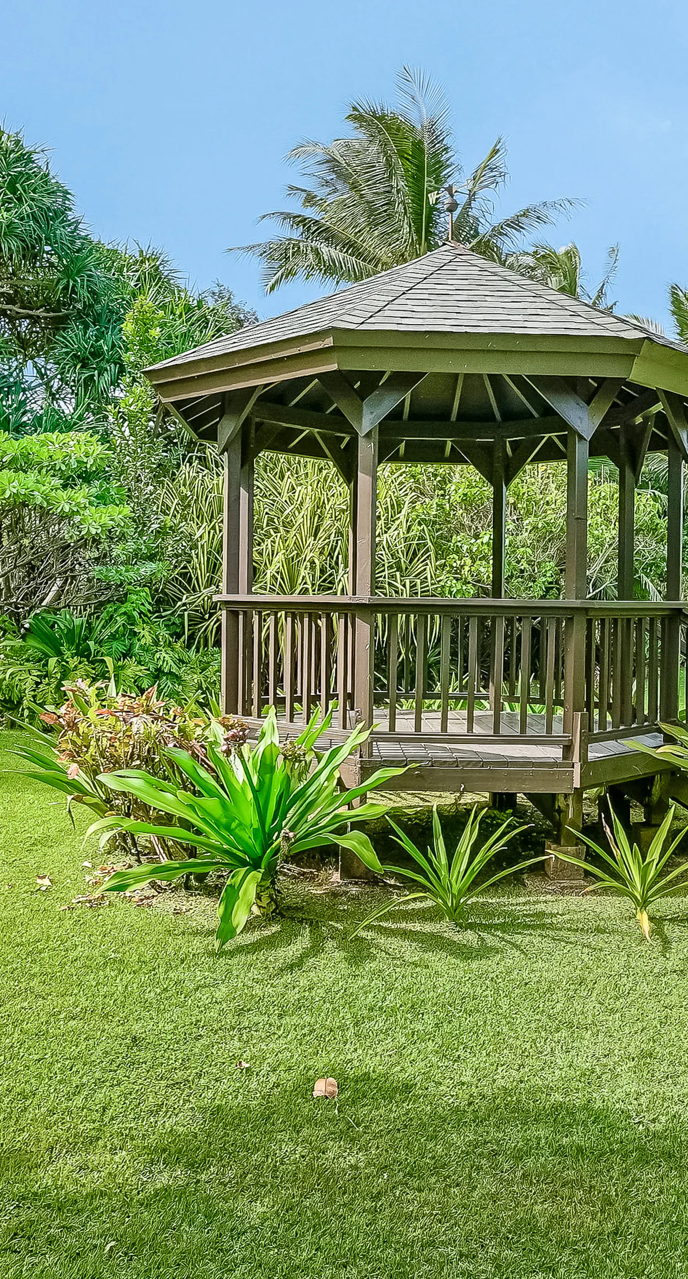 Sandcastles TVNCU#1305