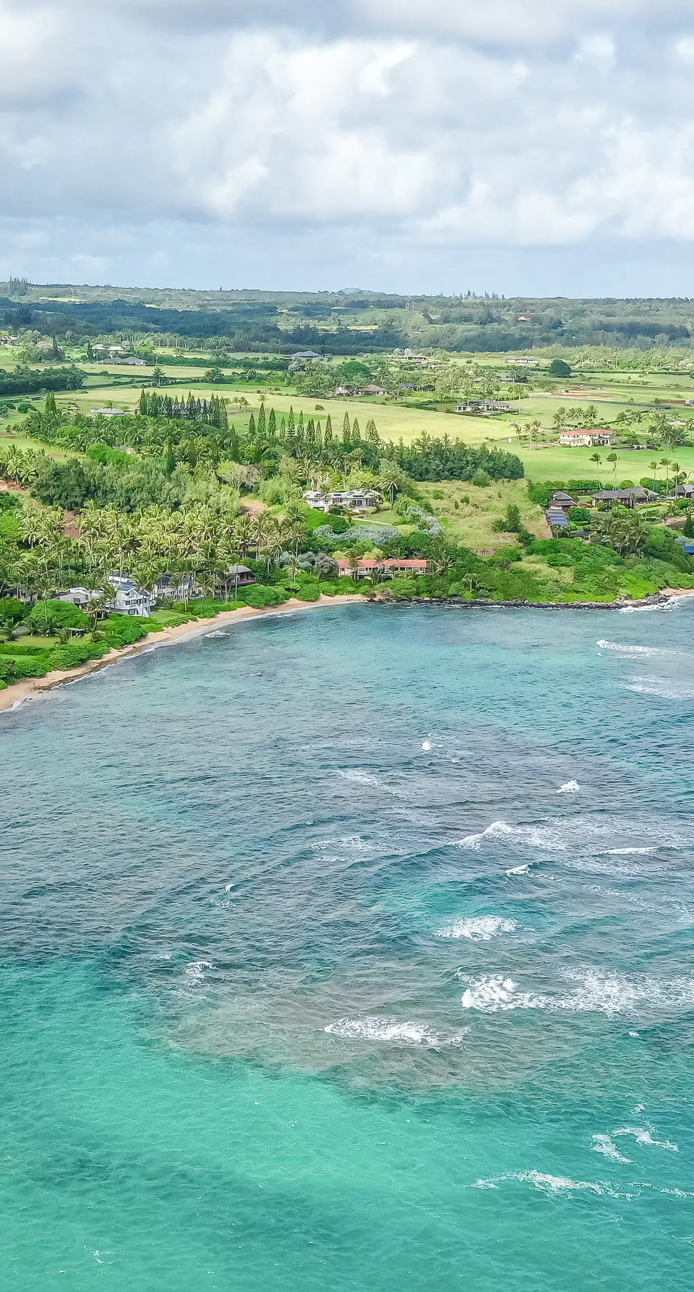 Sandcastles TVNCU#1305