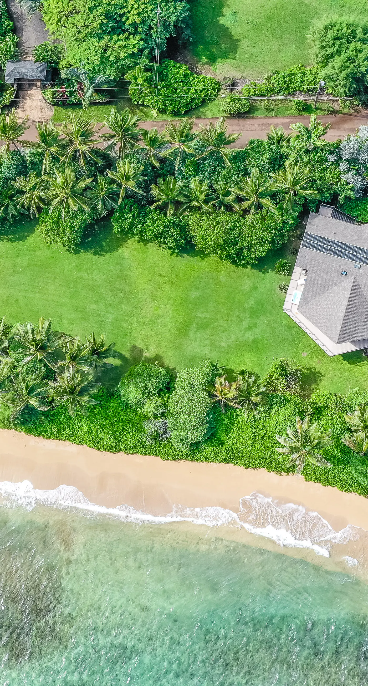 Sandcastles TVNCU#1305