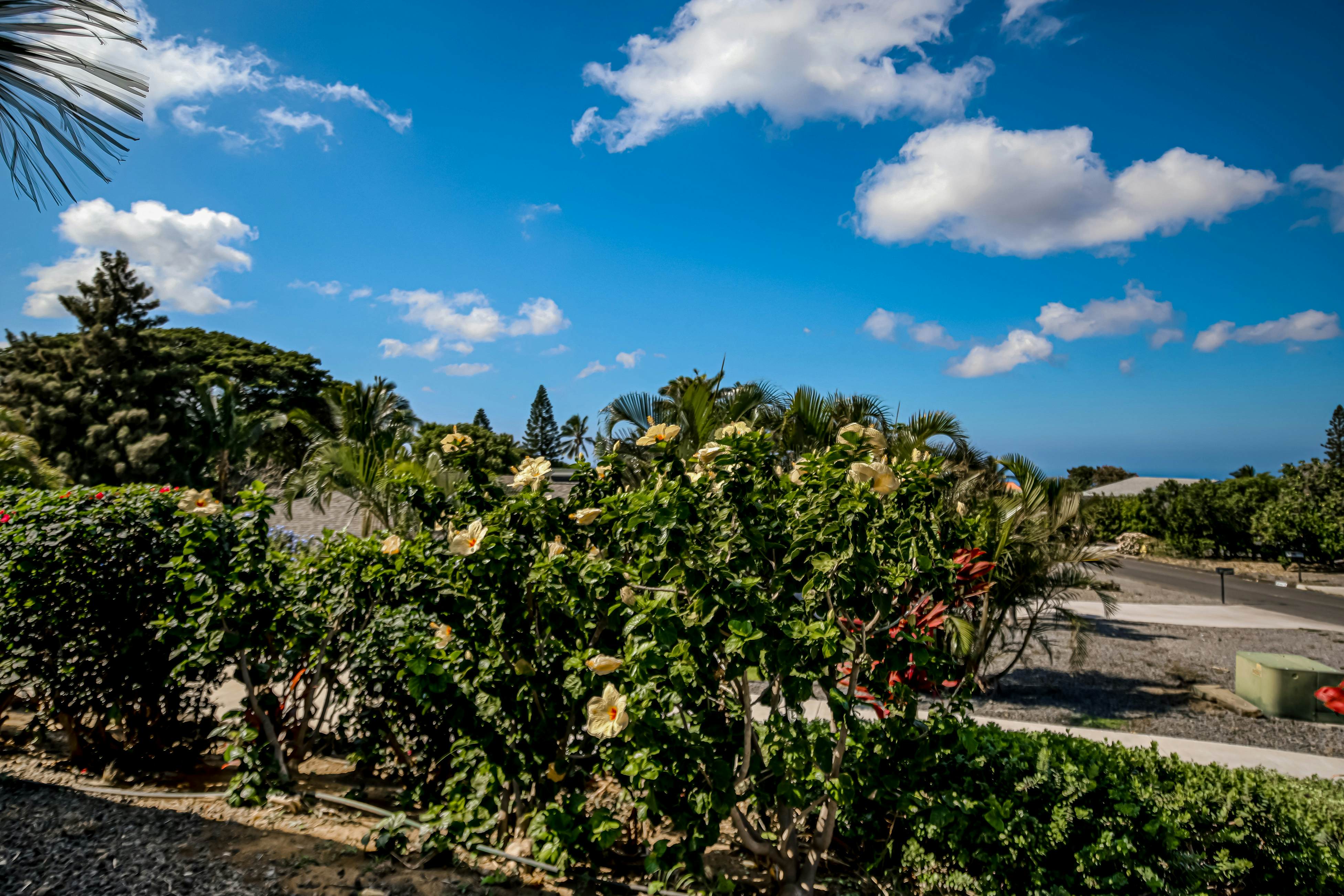 Waikoloa Neighborhood Retreat
