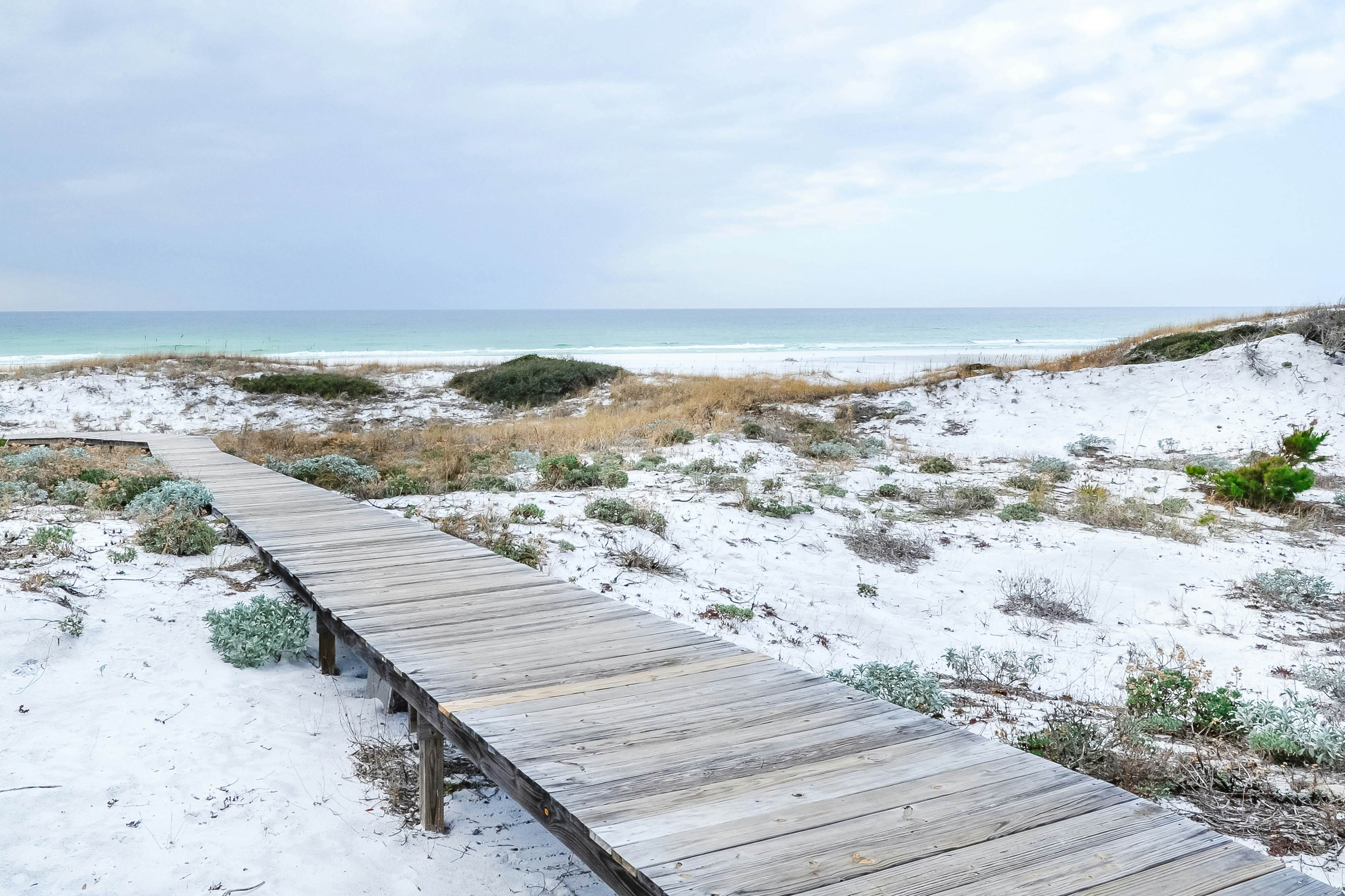 Sanctuary by the Sea 2112