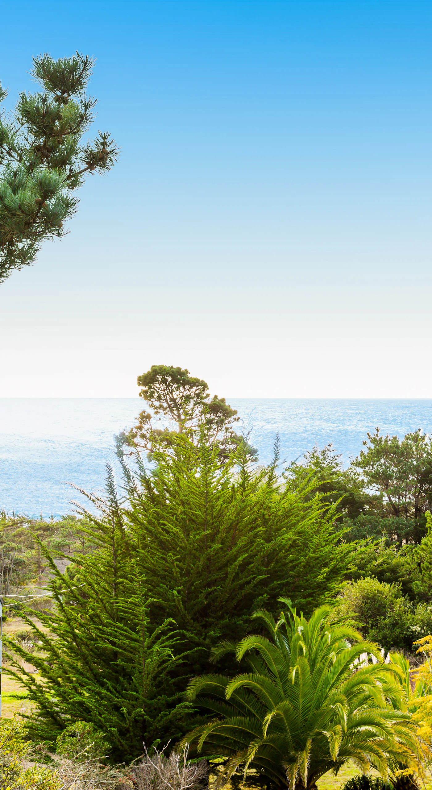 Gaze out at the breathtaking ocean view, where the lush landscape and serene blue skies set the scene for unforgettable moments.