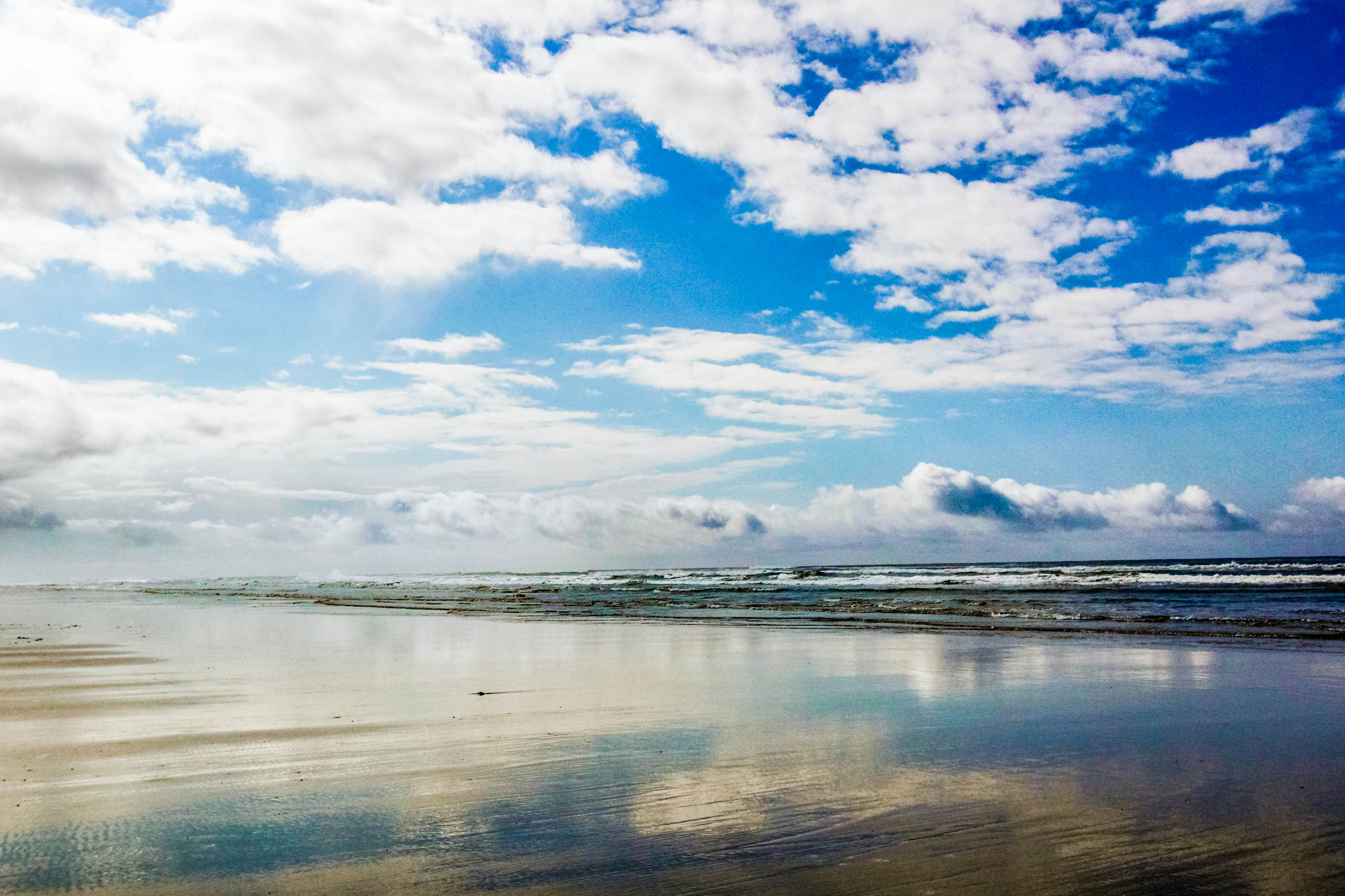Woodland Cottage by the Sea