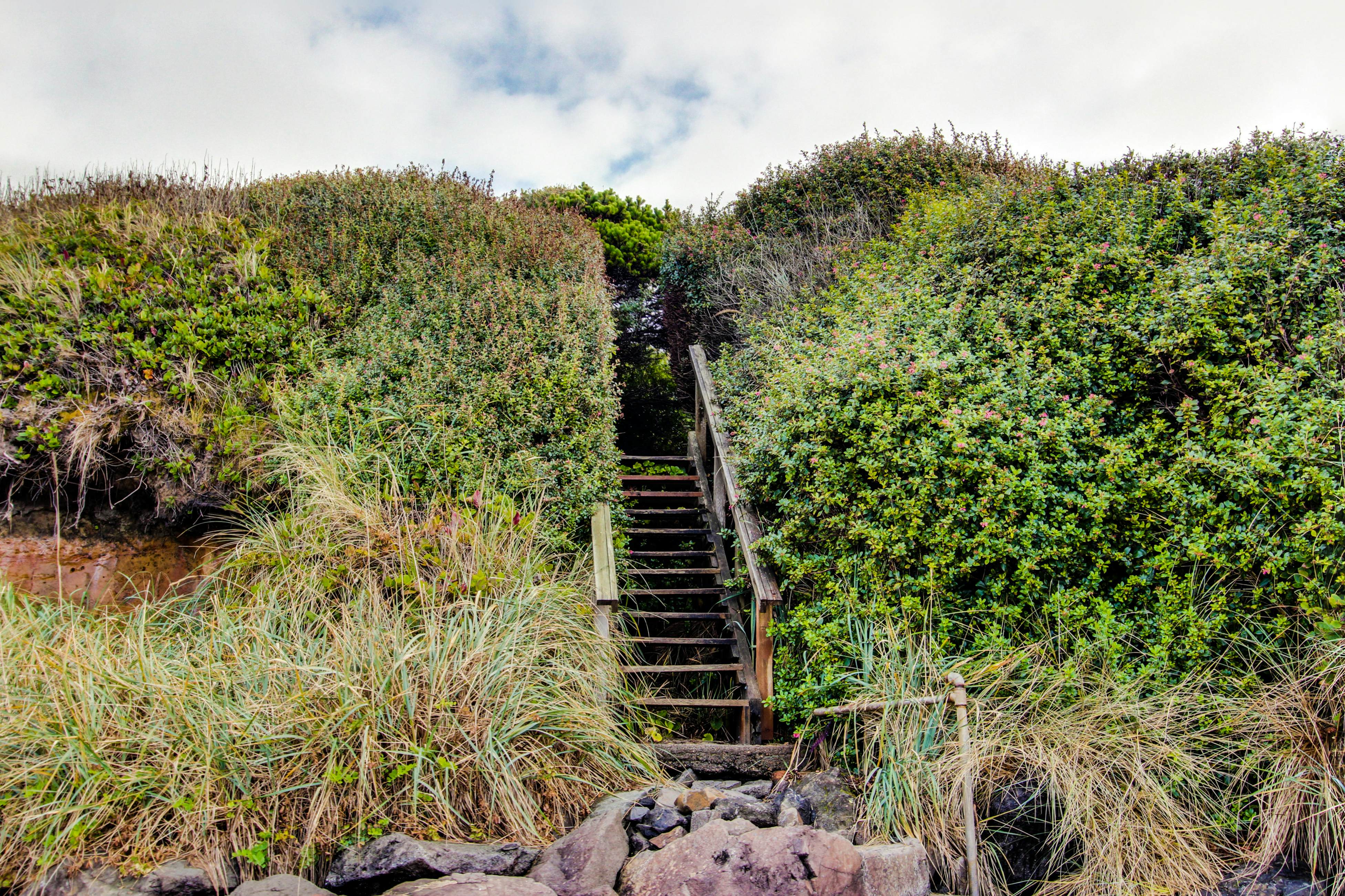 Woodland Cottage by the Sea