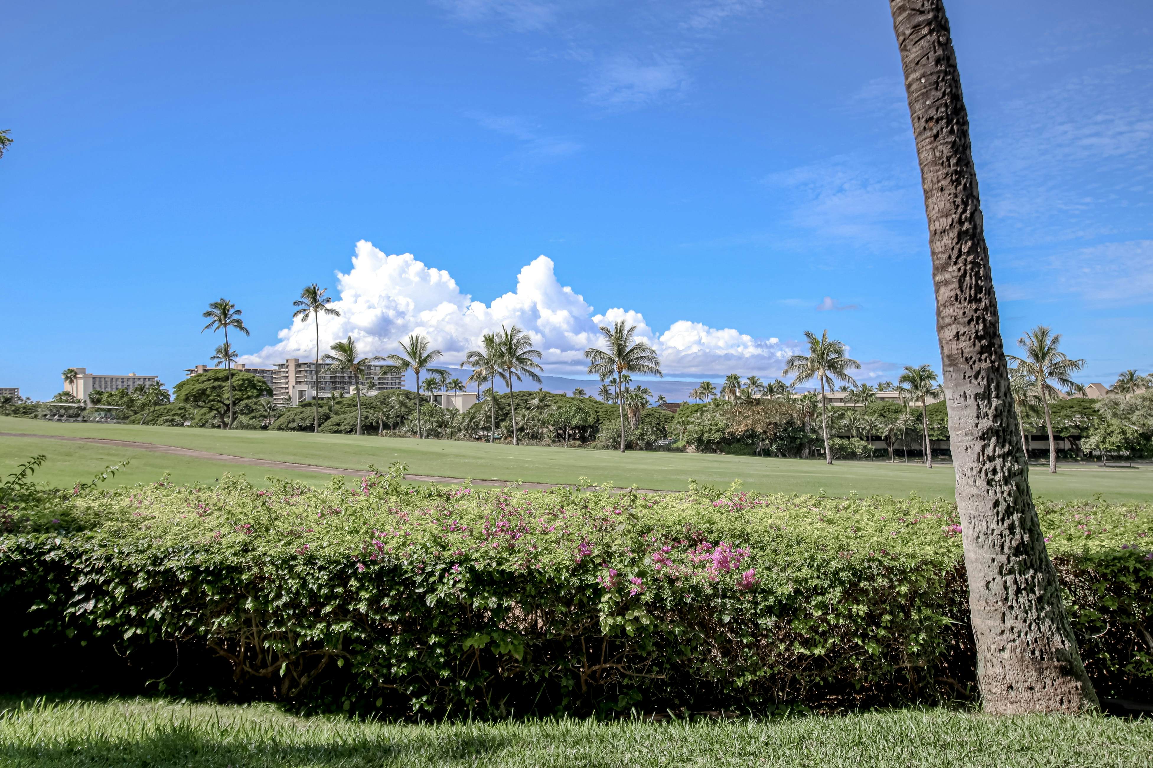 Maui Eldorado Resort A100