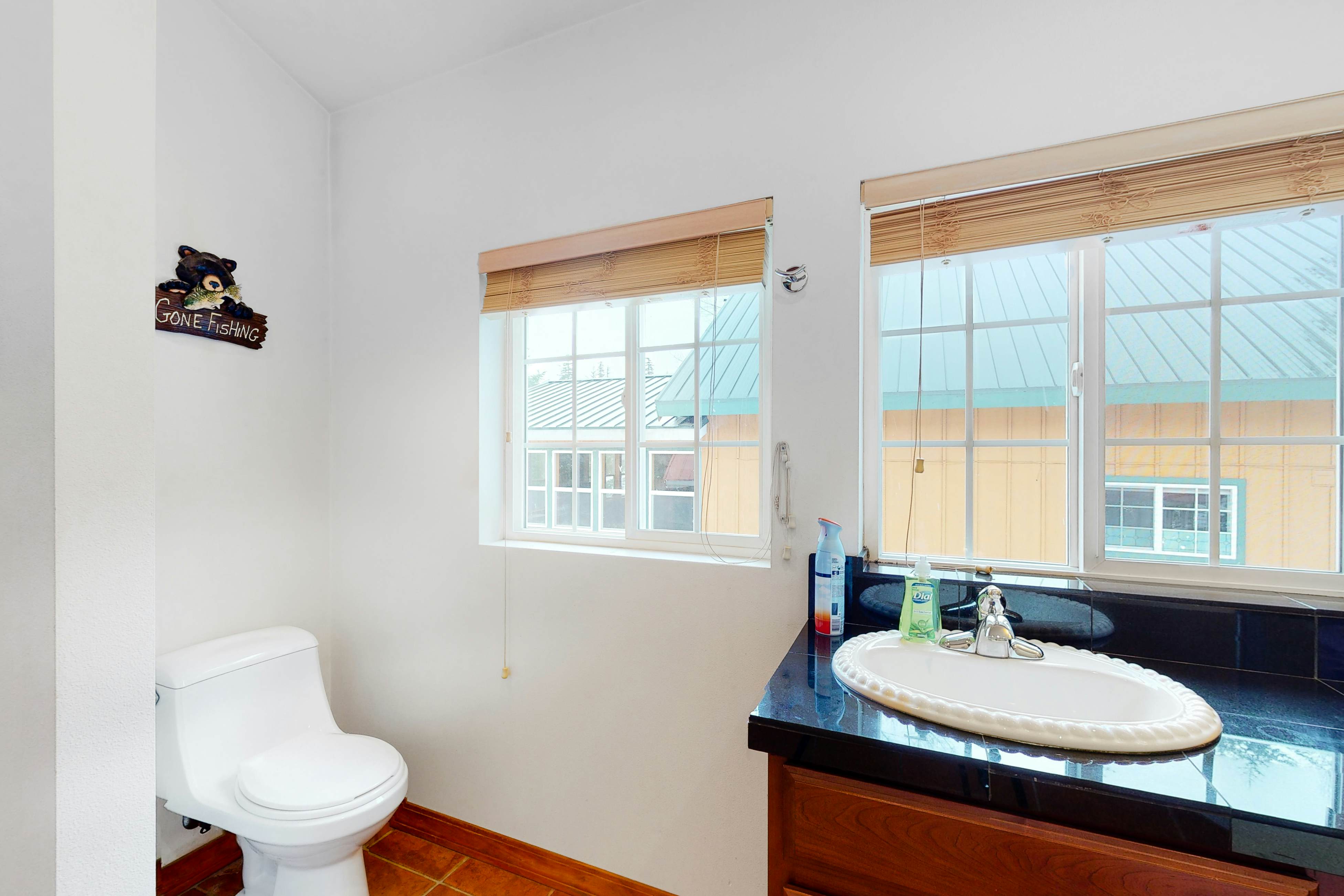 Breathtaking Hyak Home