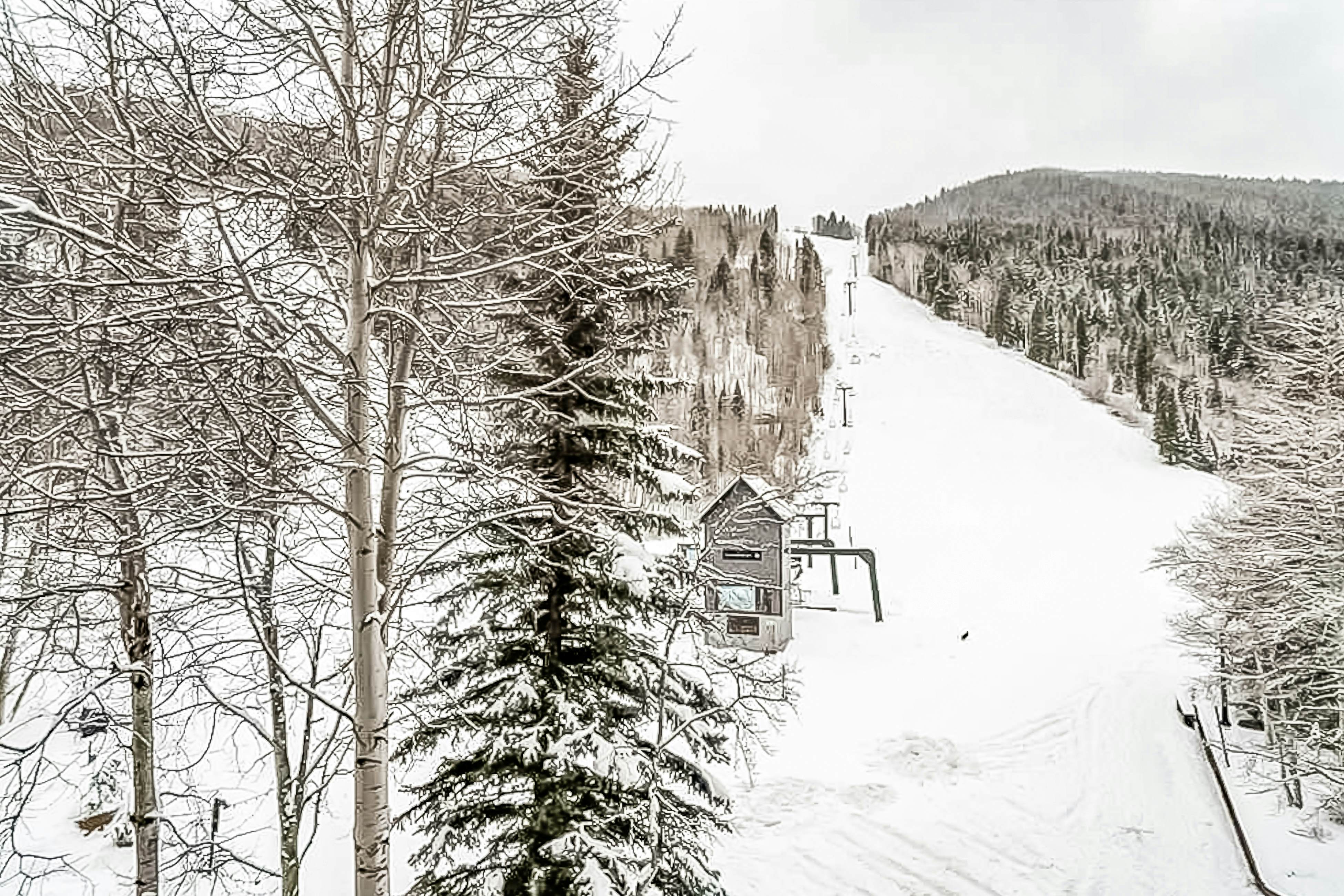 Double Diamond 24 - Chalet