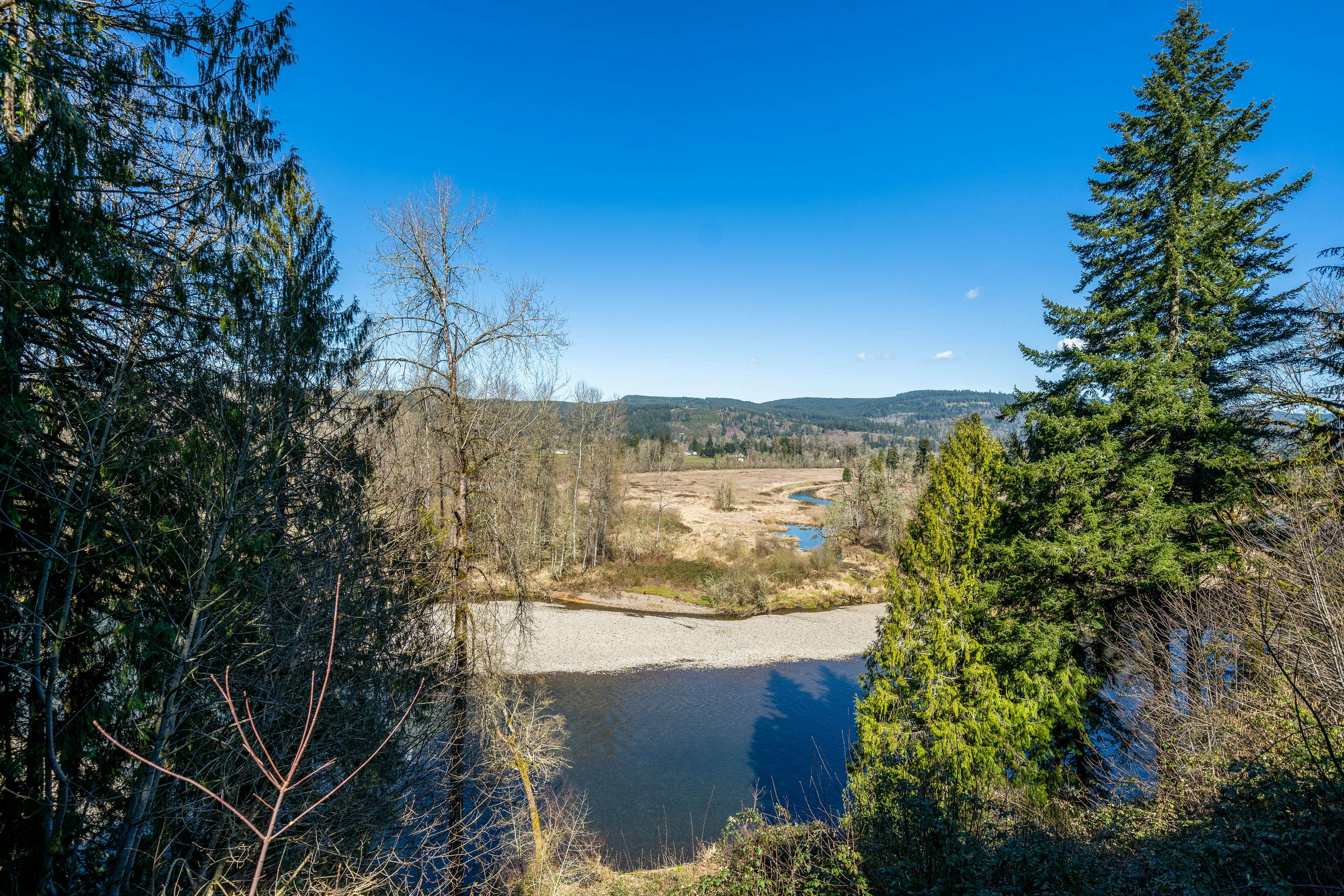 McKenzie View Cottage