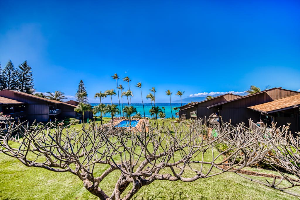 Tropical Resort Garden Views