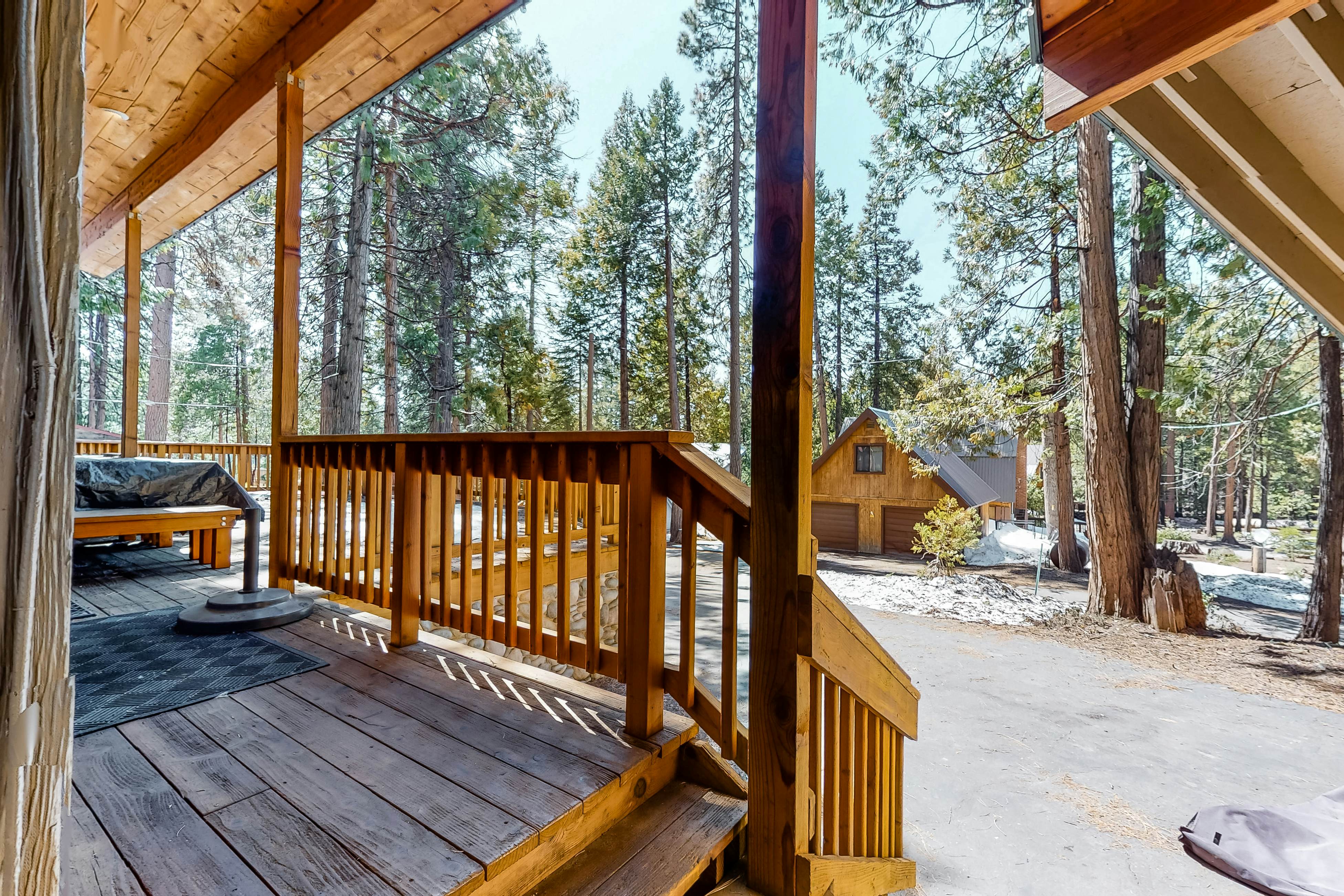 Dogwood East Village