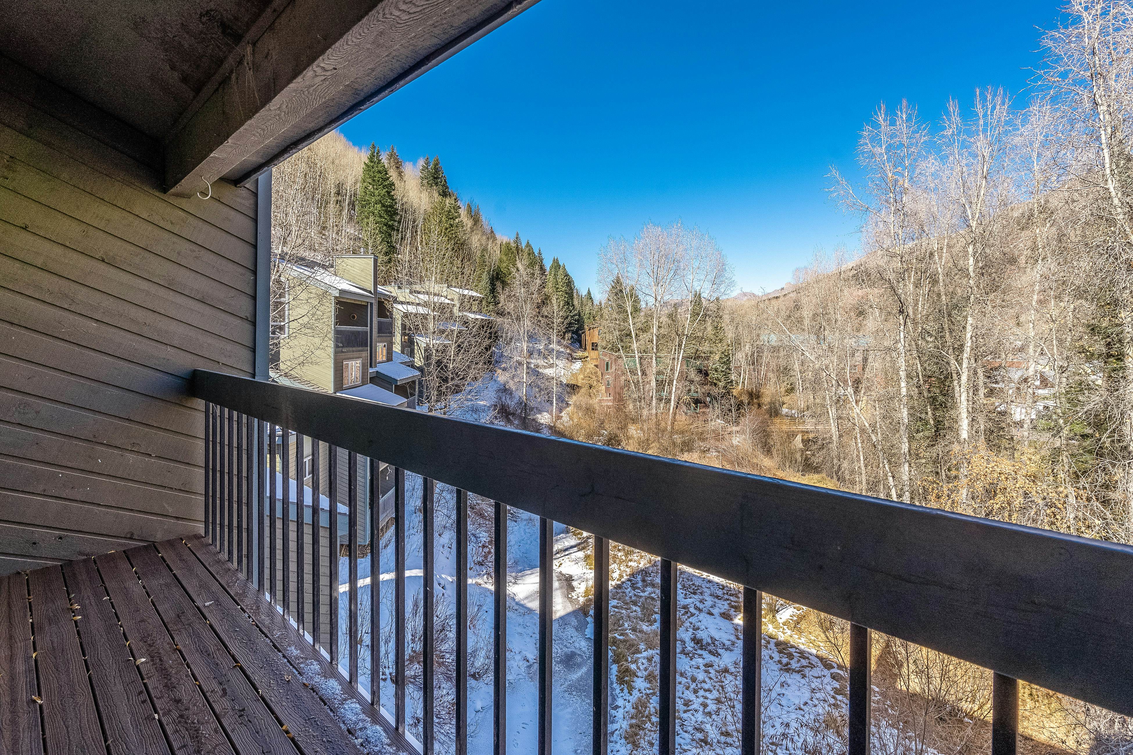 Riverside C203 - Riverside Owl