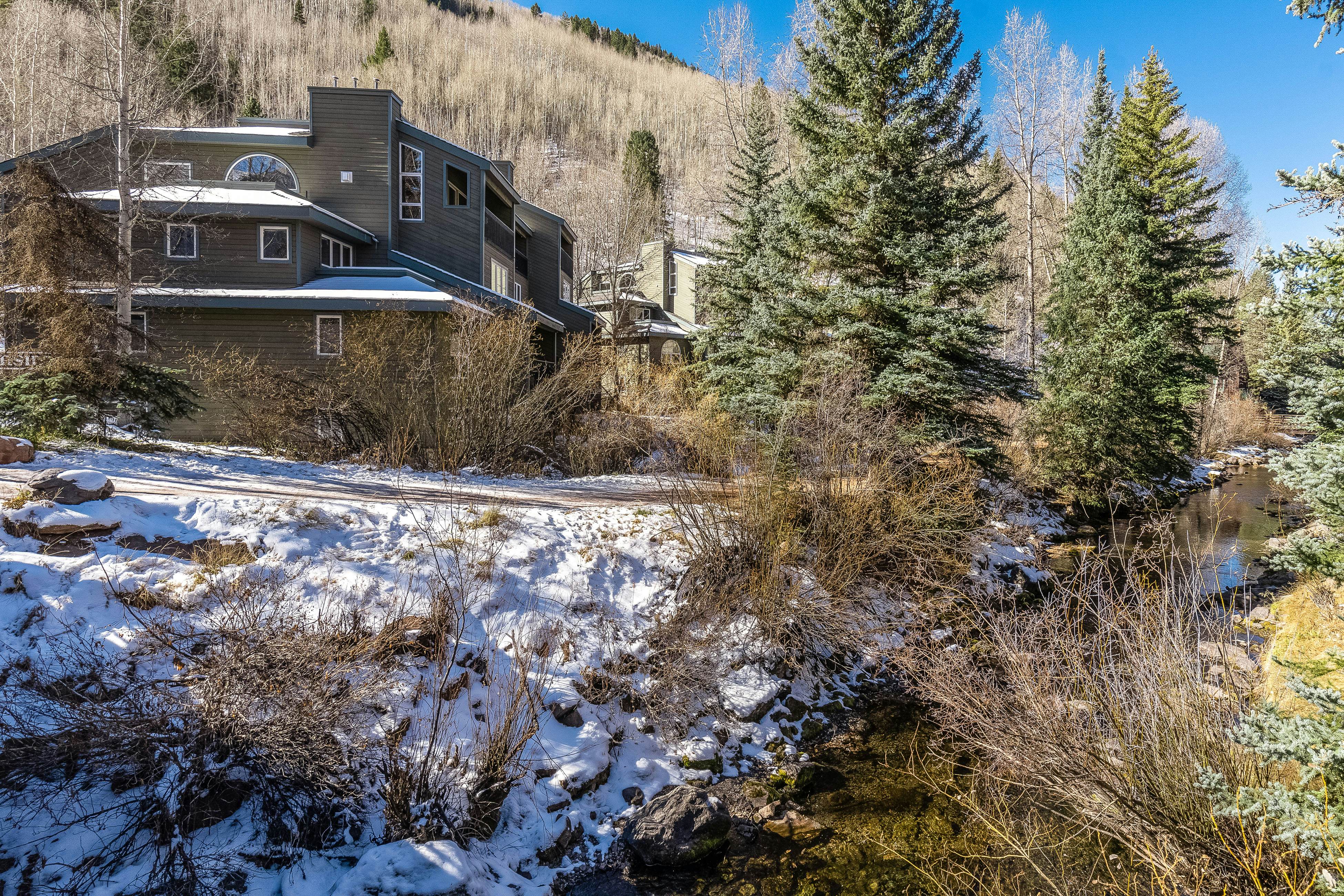 Riverside C203 - Riverside Owl