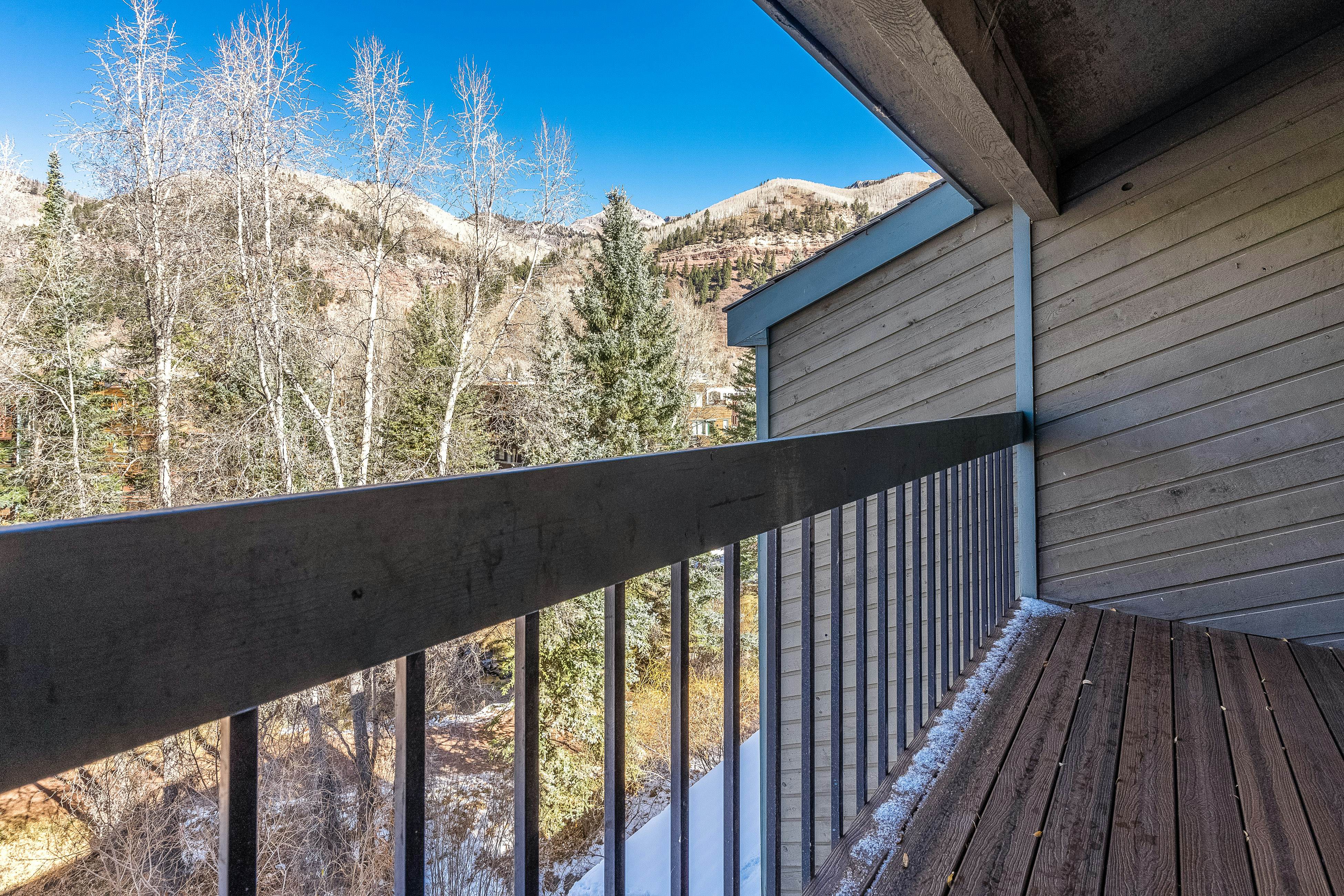 Riverside C203 - Riverside Owl