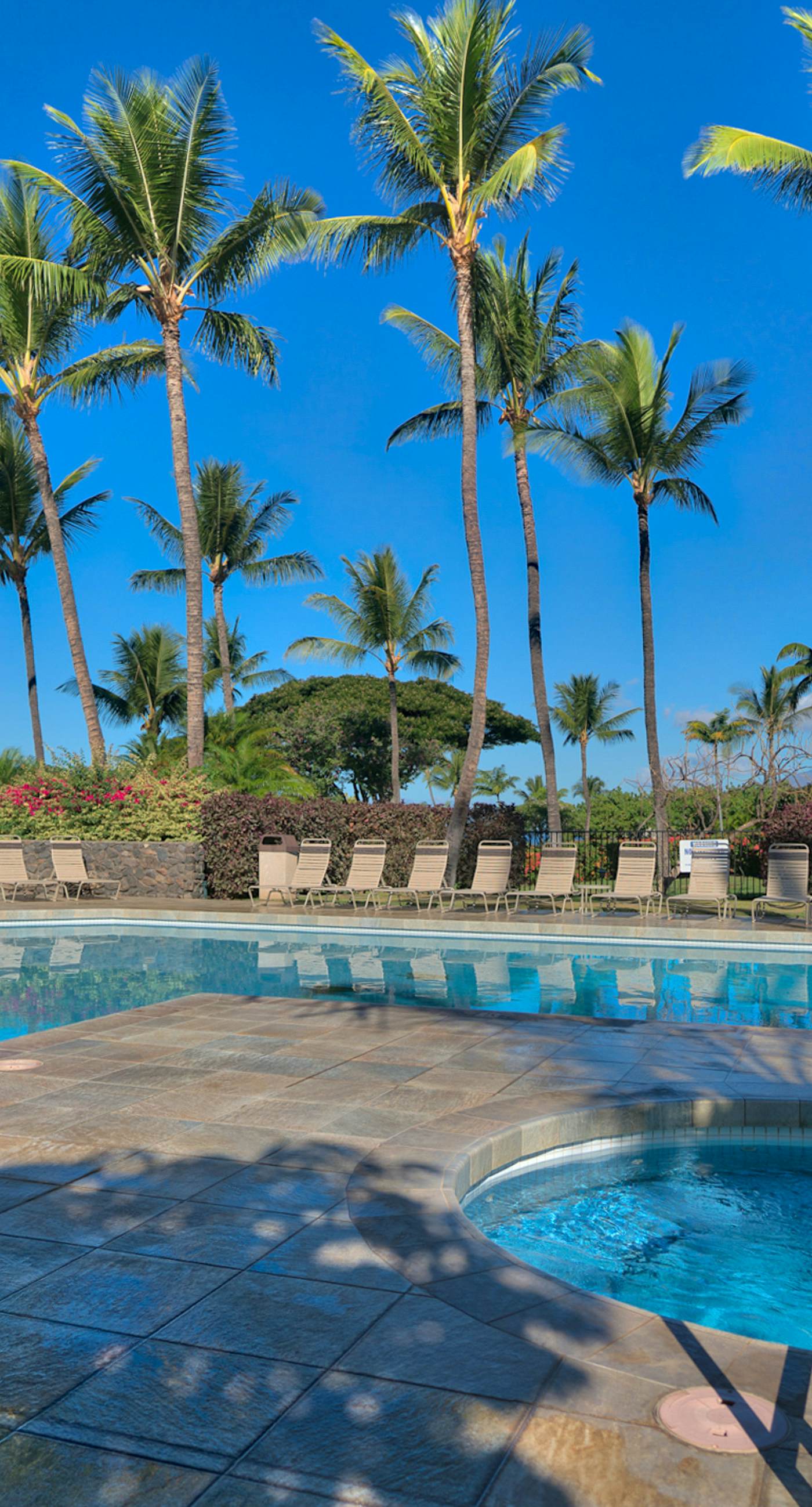 Maui Kamaole B115