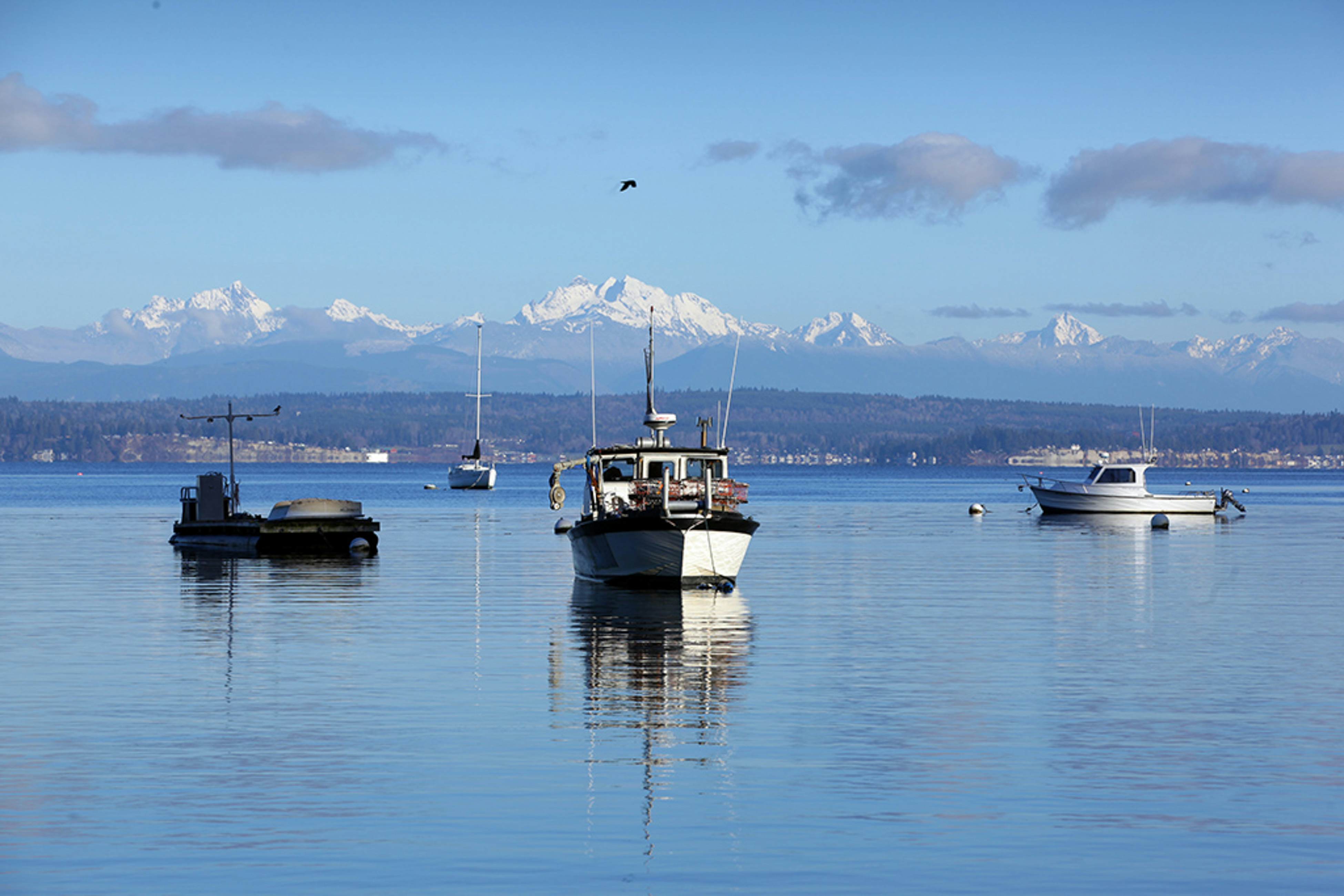Cozy Cottage by the Sea