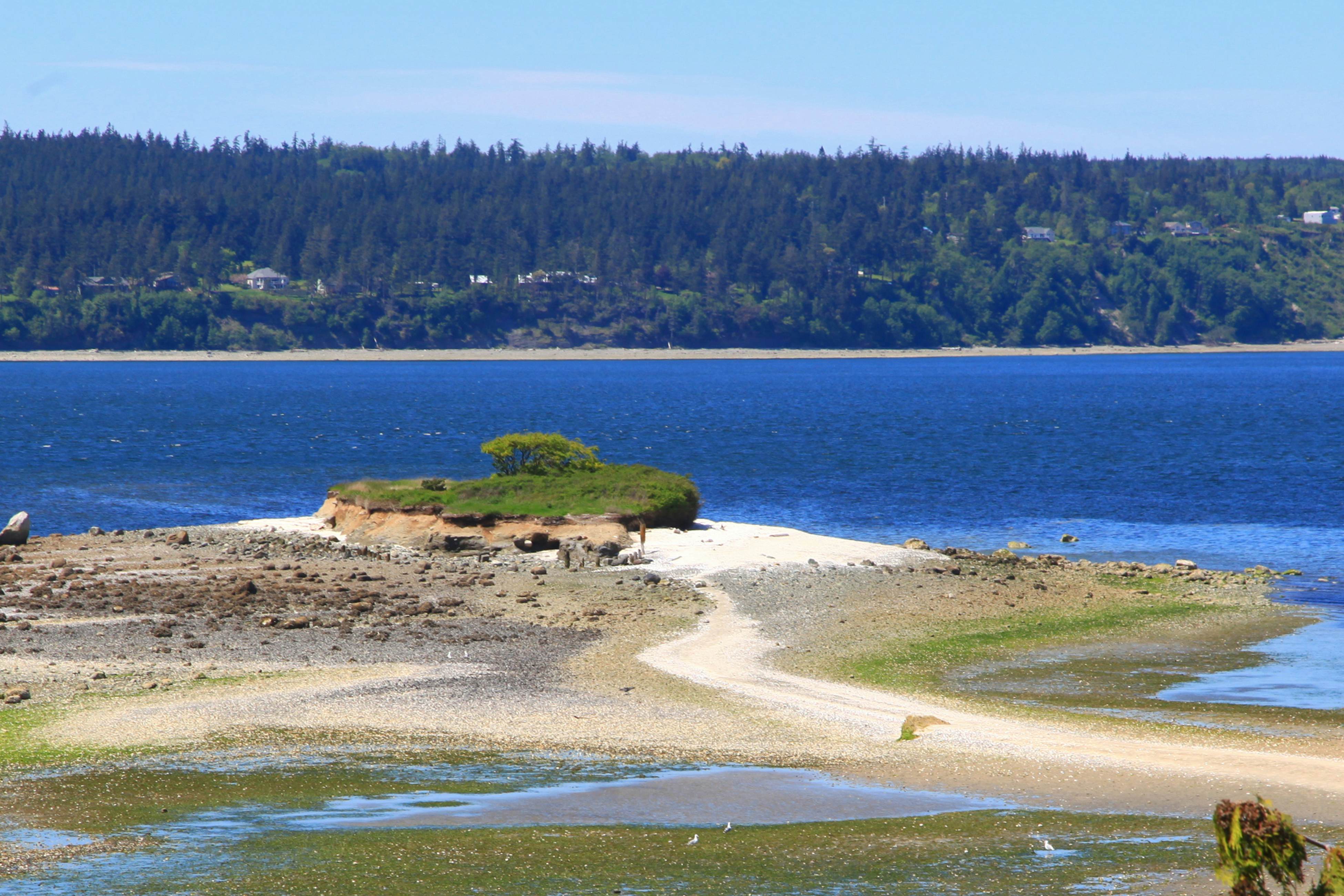 Cozy Cottage by the Sea