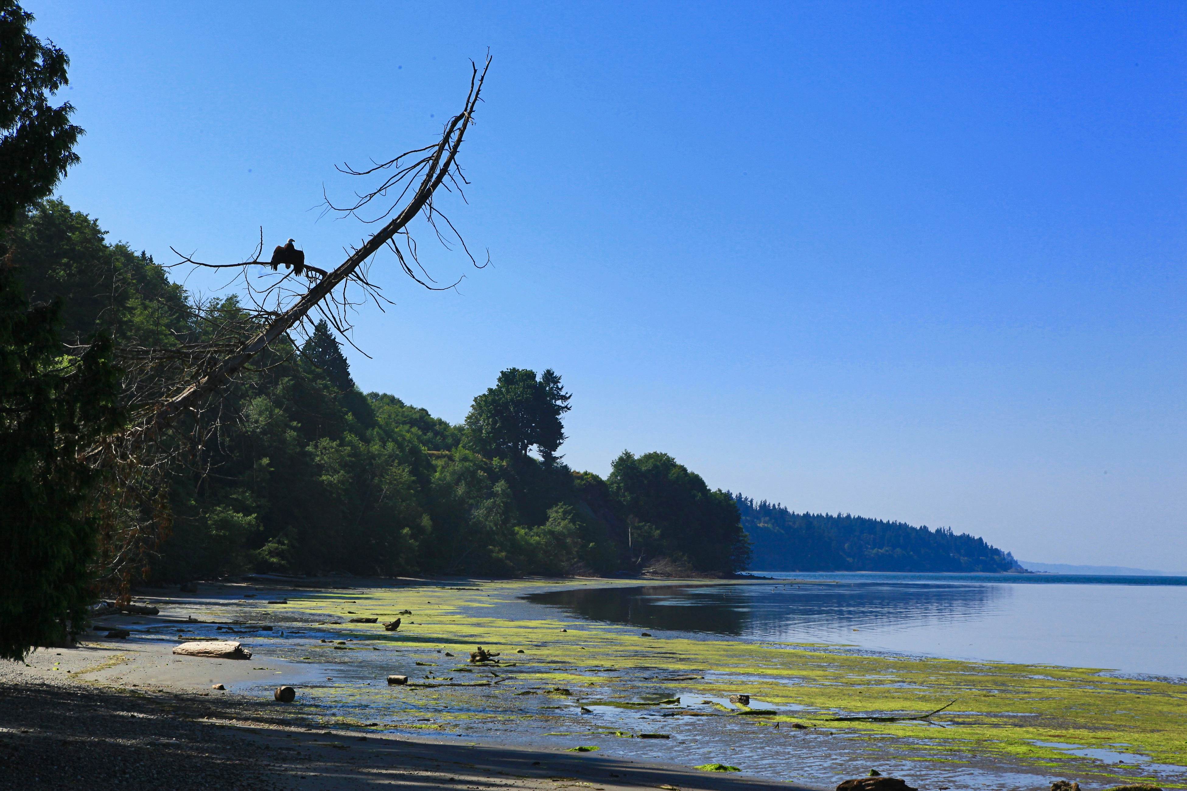 Cozy Cottage by the Sea