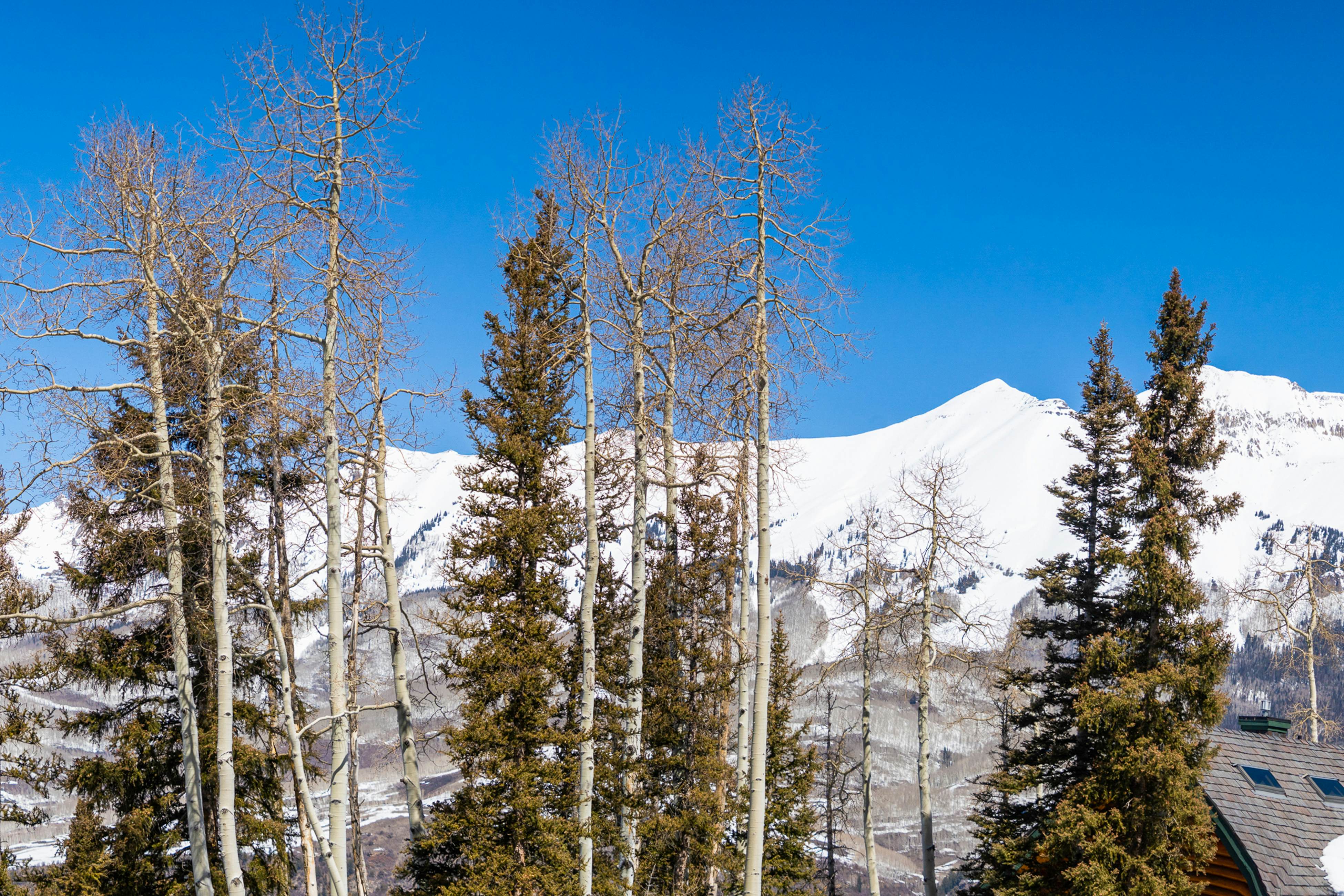 Sundance Lodge - 108 Lodges Lane