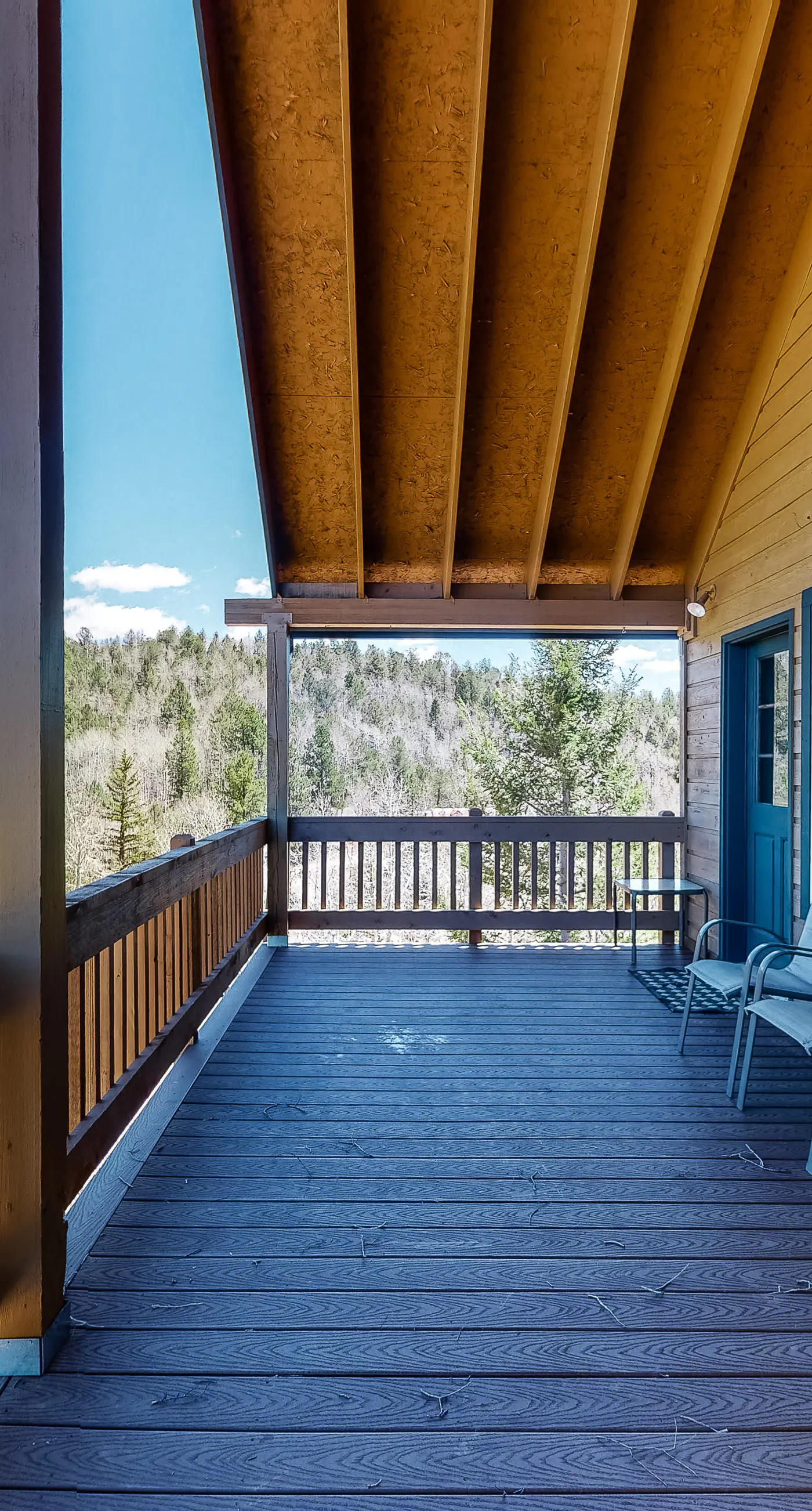 Timberline Vista