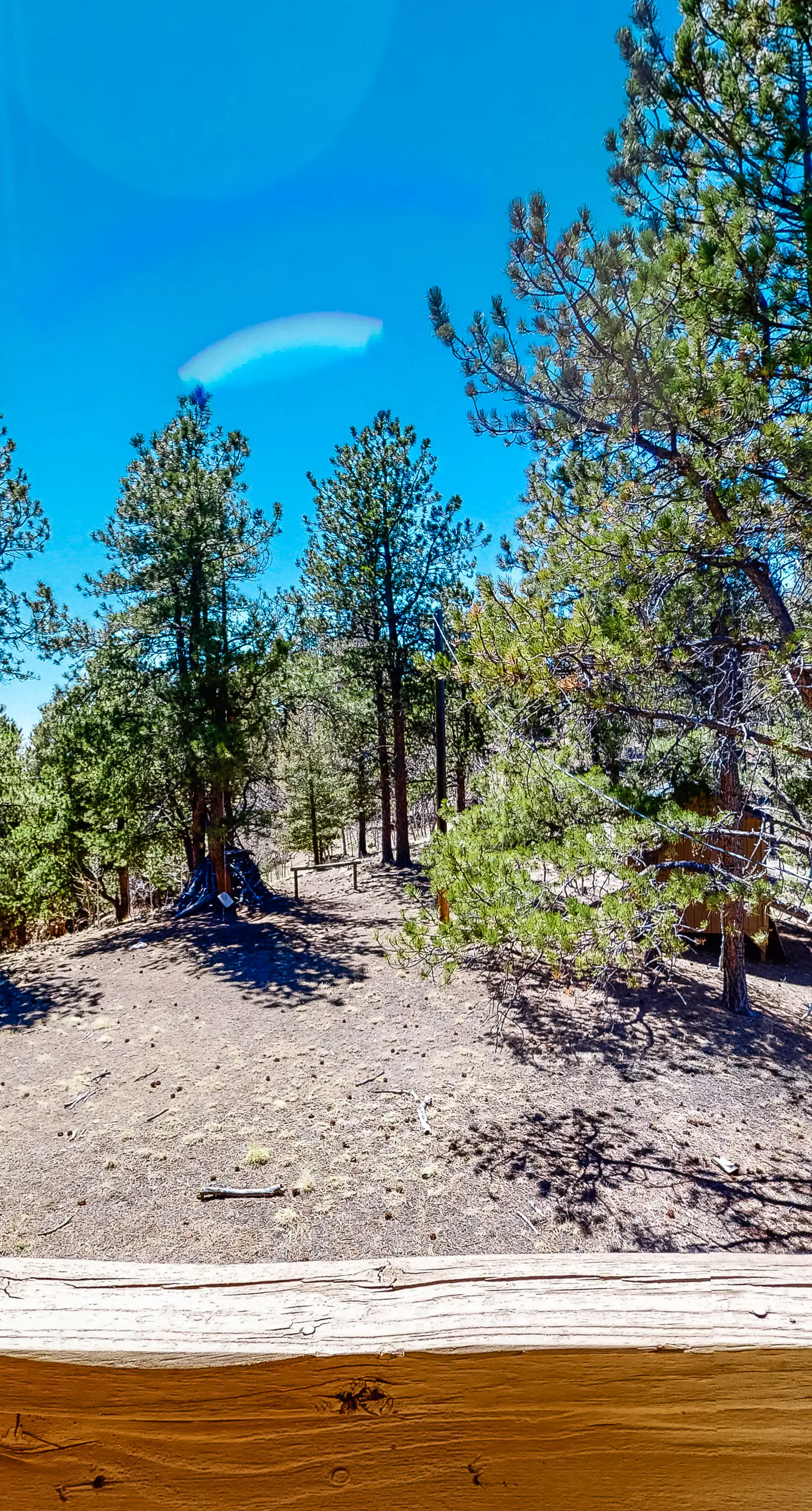 Timberline Vista
