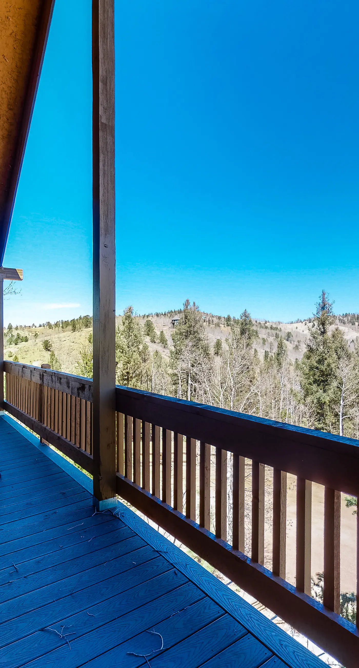 Timberline Vista