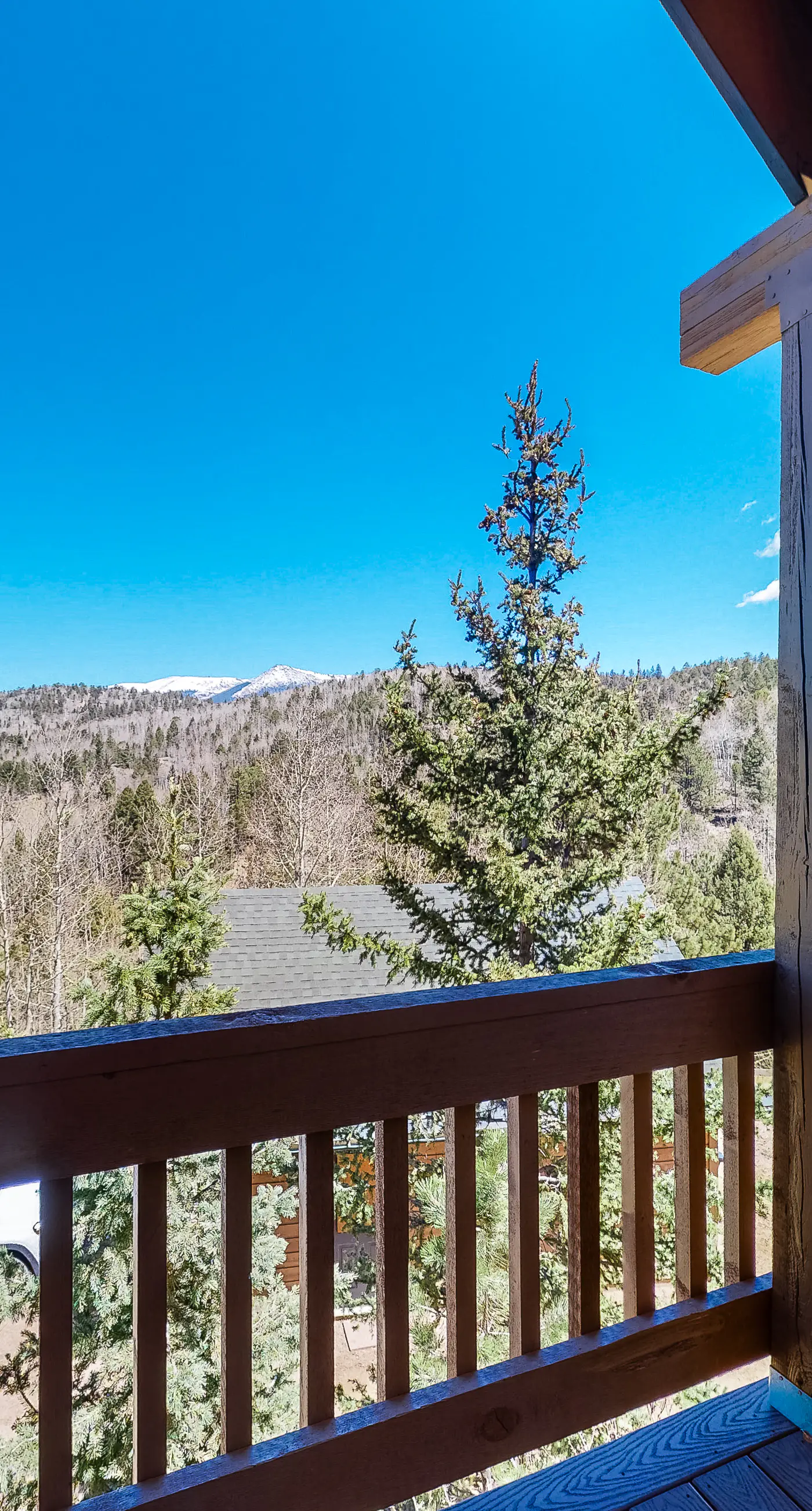 Timberline Vista