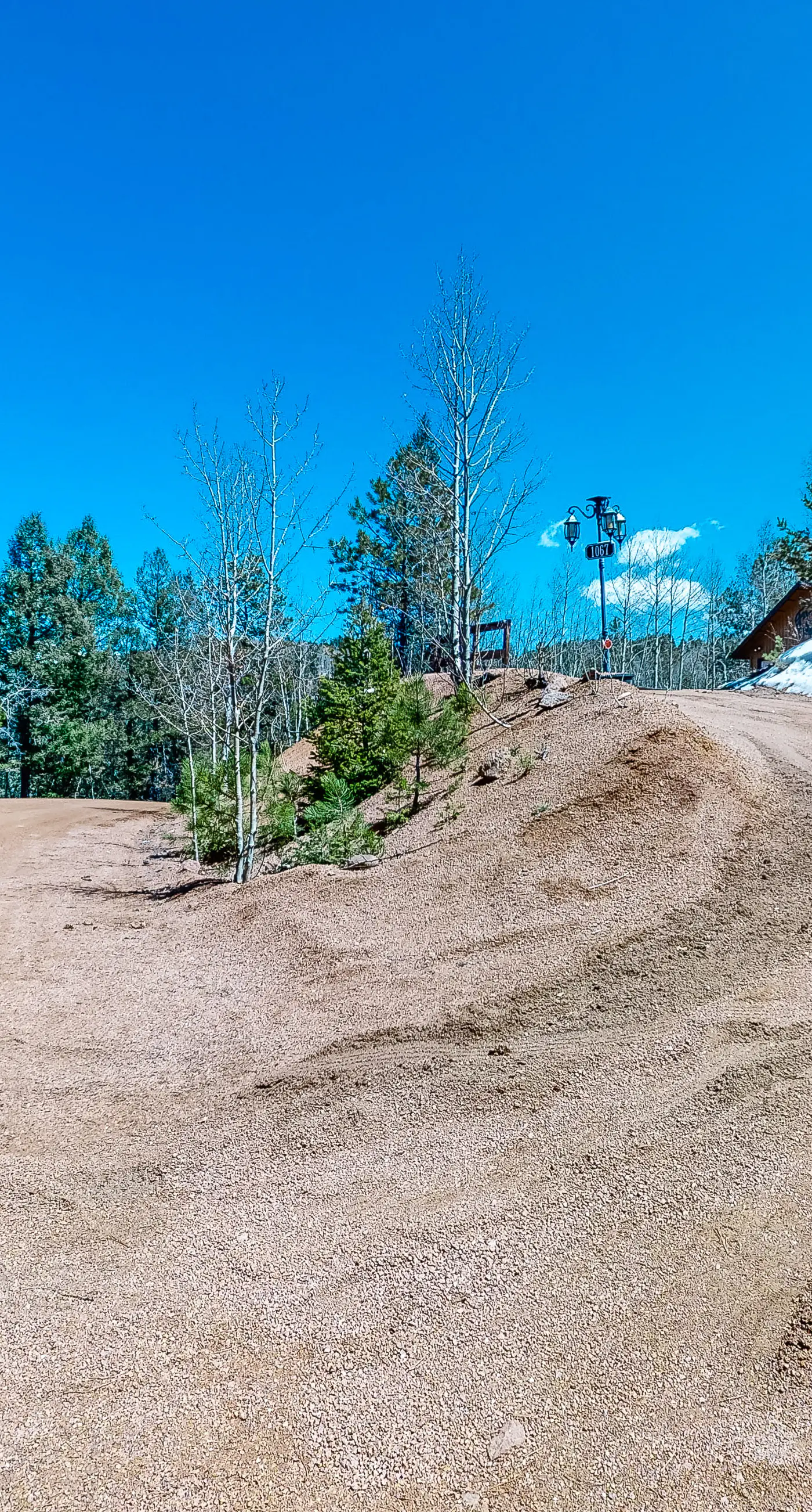 Timberline Vista